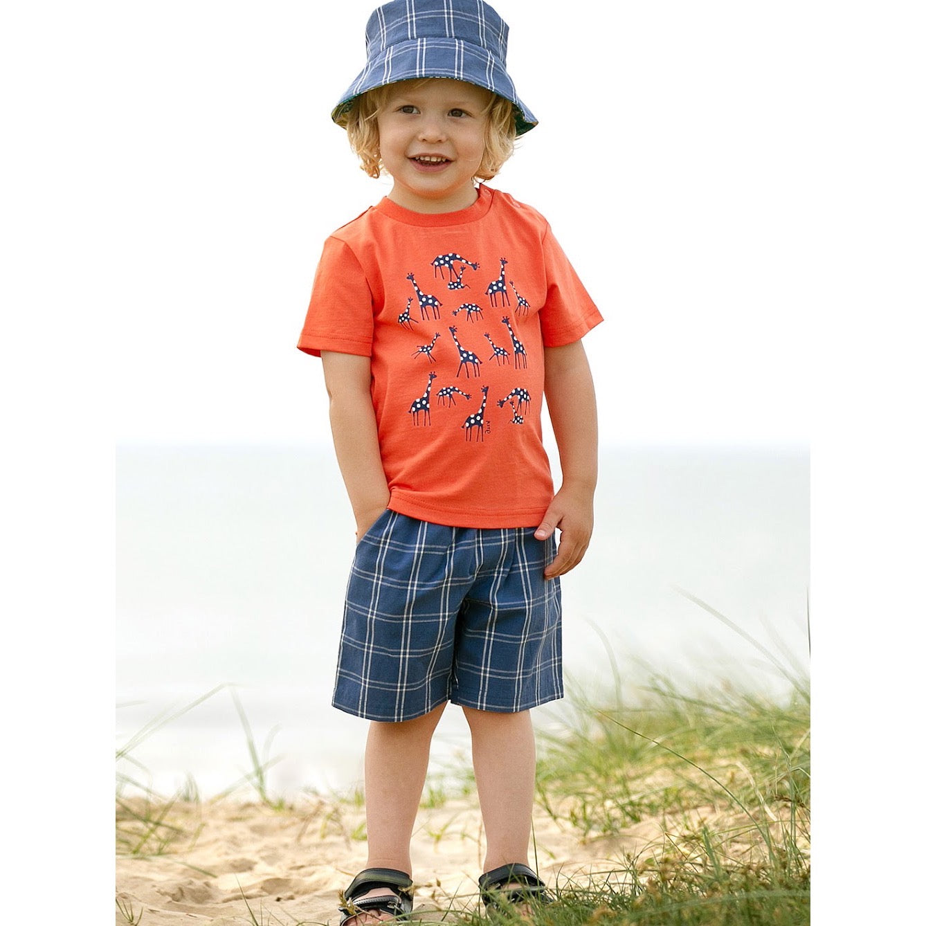Kite Special Check Infant Shorts 9954 Clothing 9-12M / Blue,12-18M / Blue,18-24M/2Y / Blue,3YRS / Blue,4YRS / Blue,5YRS / Blue