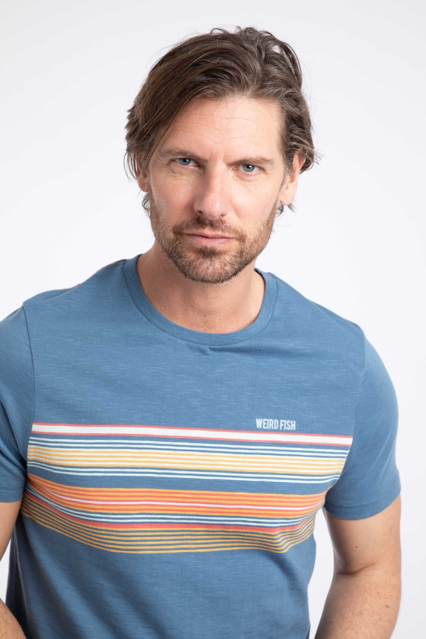 Weird Fish Mens Cody Stripe T-Shirt 204024 Washed Blue
