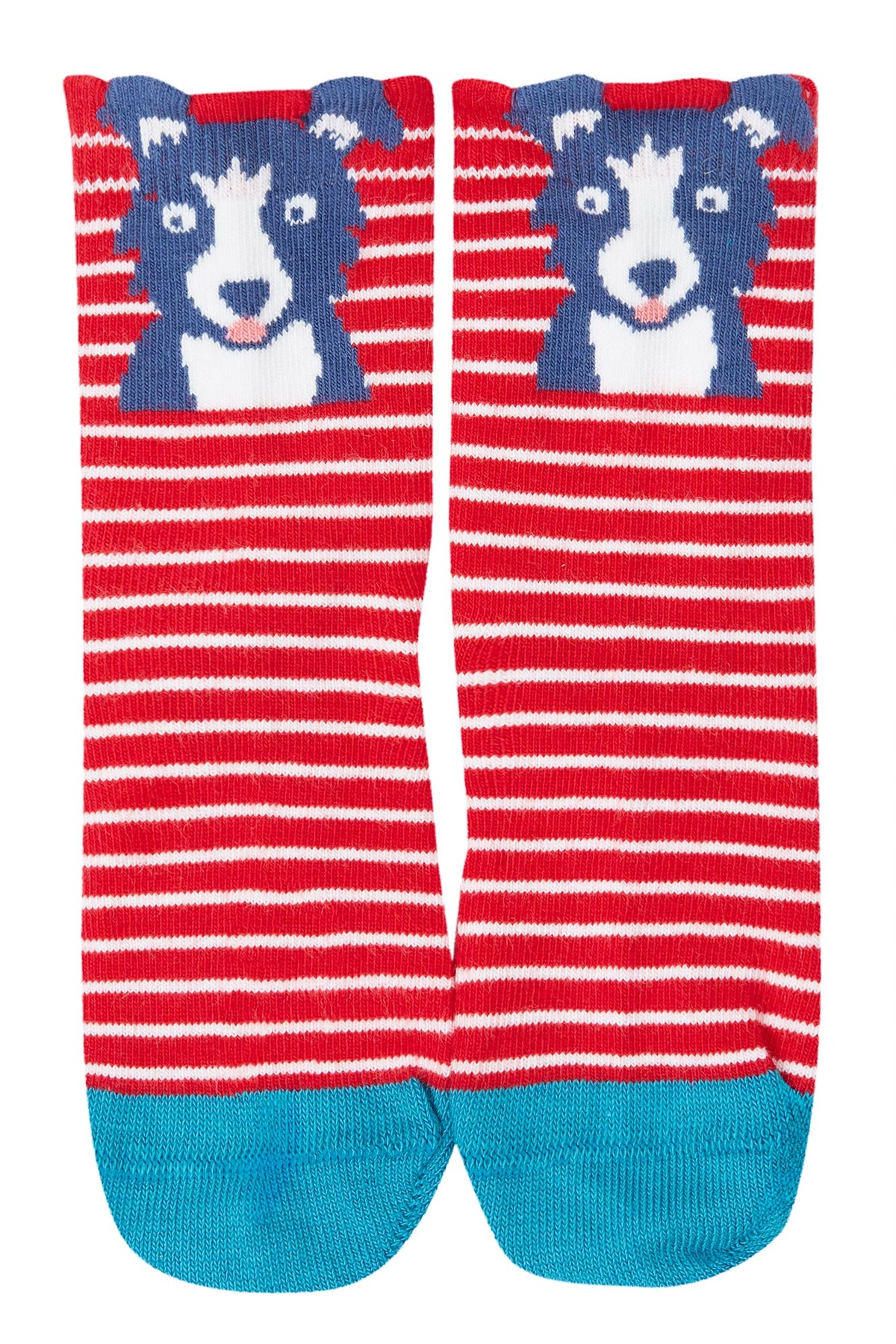 Frugi 3 Pack Infant Socks 500084A5famu Multi Farm Clothing 0-6M / Multi,6-12M / Multi,1-2YRS / Multi,UK6-8 / Multi