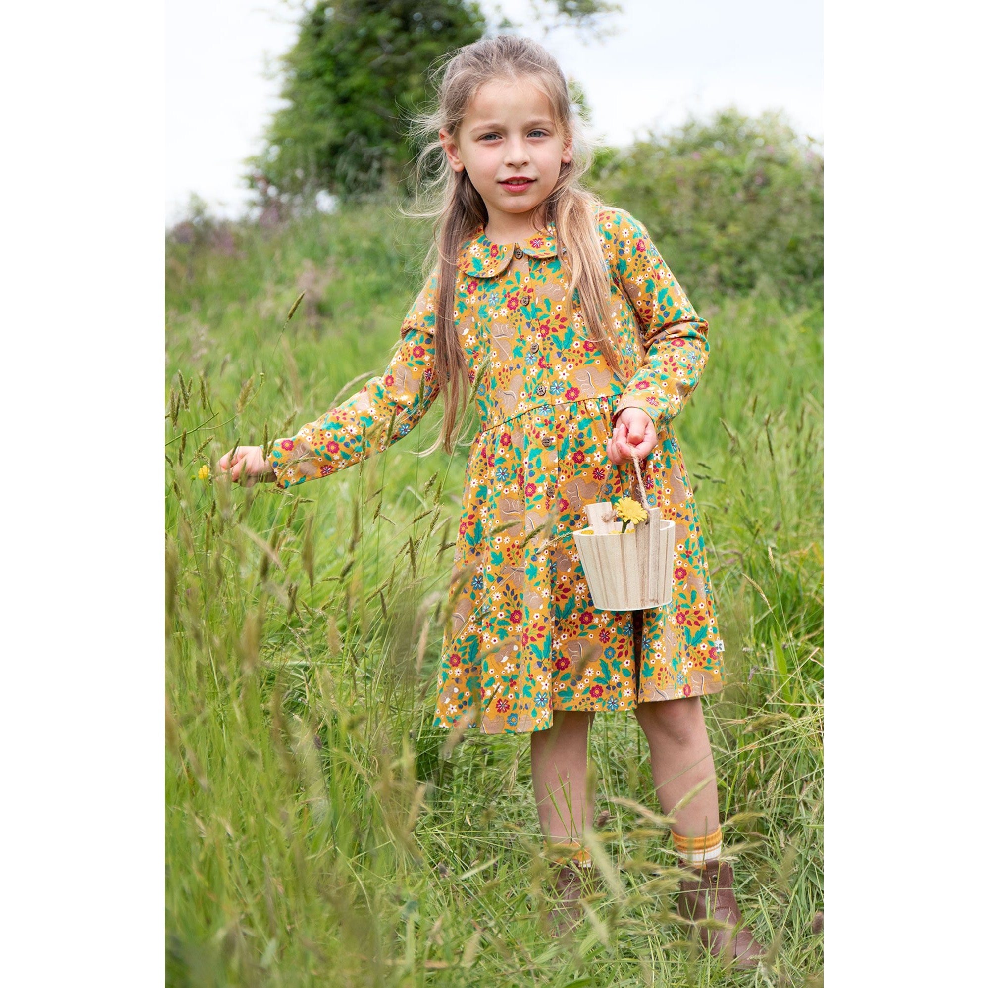 Frugi Autumn Dress 500169A4autf Autumn Friends Clothing 2-3YRS / Multi,3-4YRS / Multi,4-5YRS / Multi