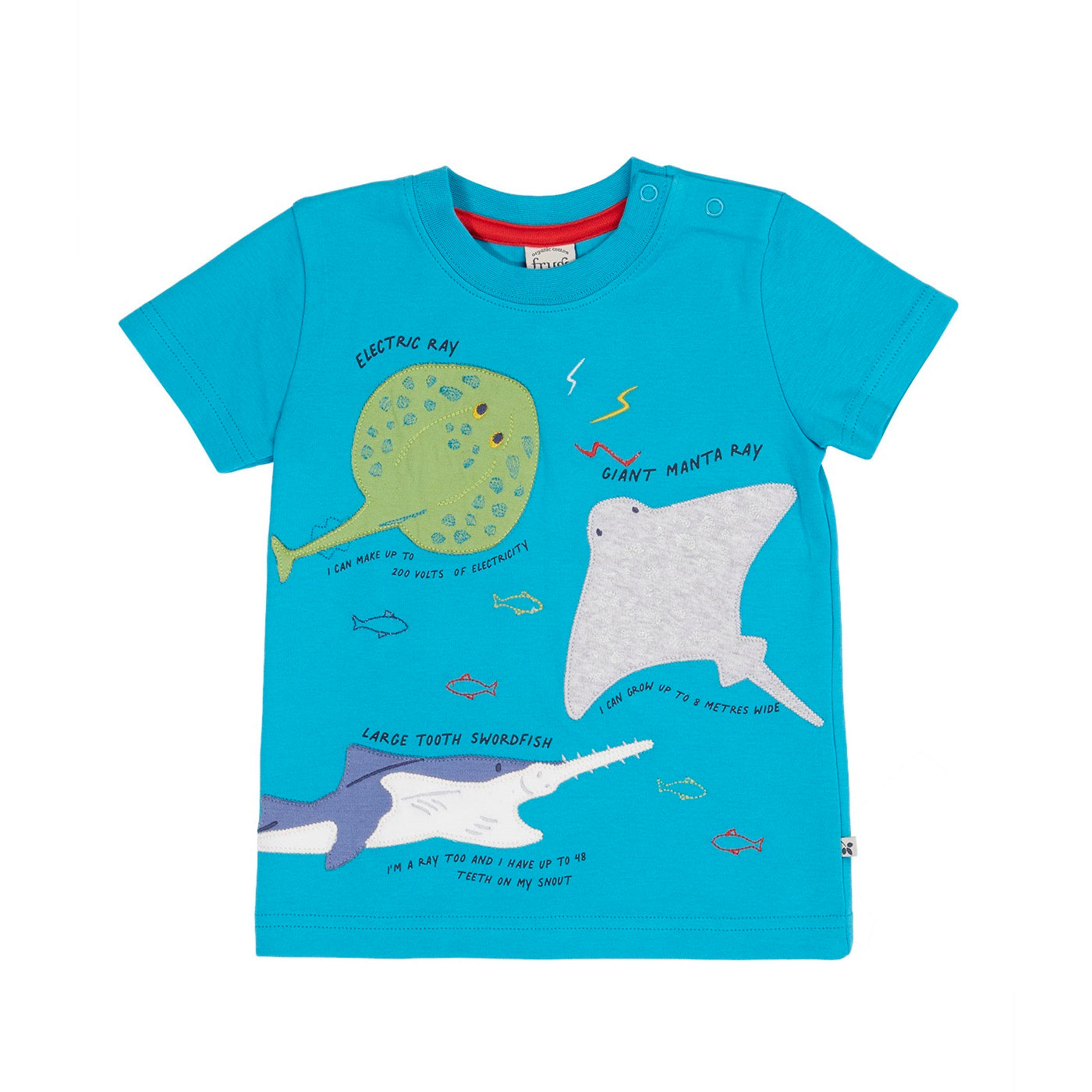 Frugi Avery T-Shirt 502154S6tnkl Tropical Sea