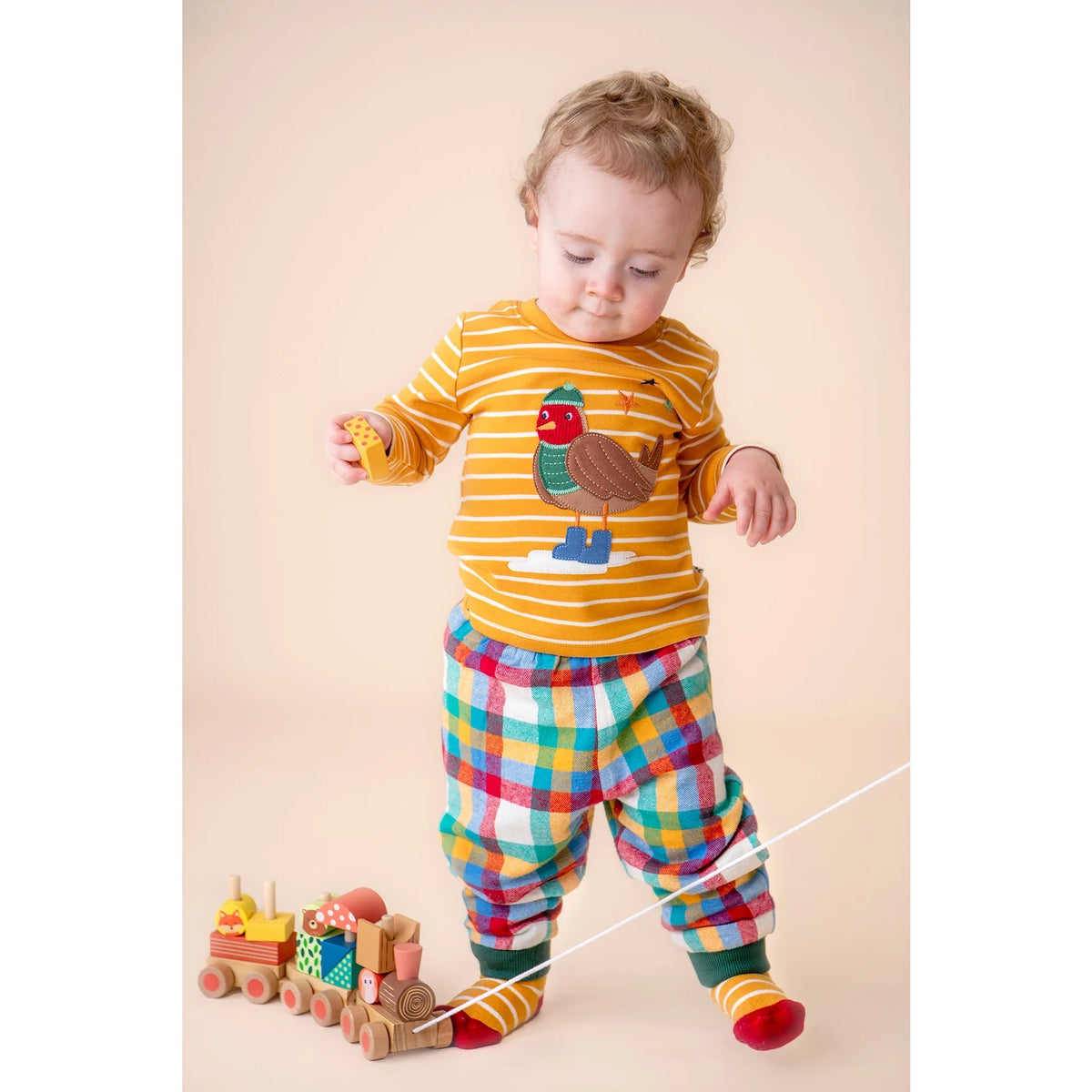 Frugi Discovery Infant T-Shirt Gold Robin Clothing 3-6M / Gold,6-9M / Gold,9-12M / Gold,12-18M / Gold,18-24M / Gold