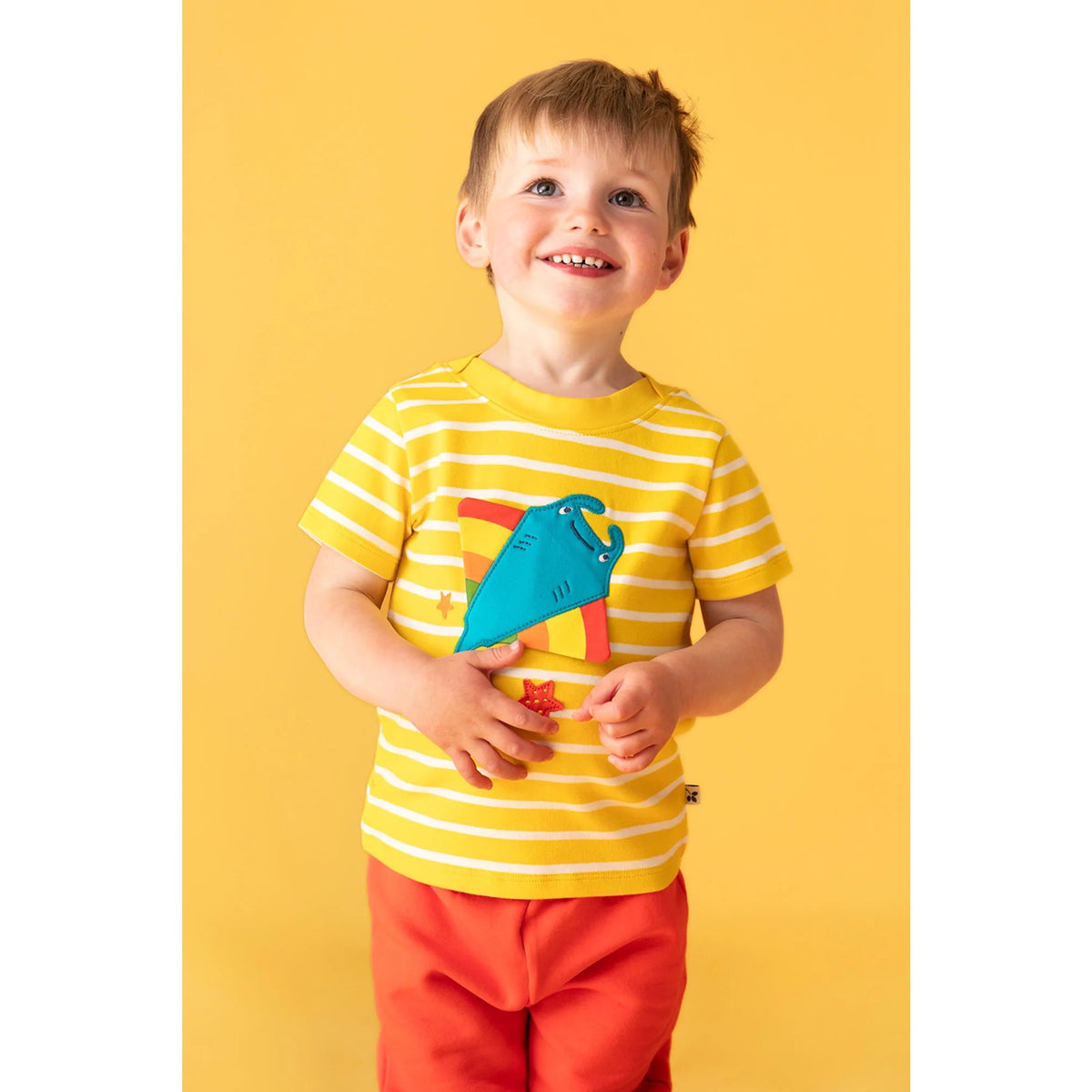 Frugi Easy On T-Shirt 500338S6letf Breton Ray Clothing 2-3YRS / Lemon,3-4YRS / Lemon,4-5YRS / Lemon,5-6YRS / Lemon