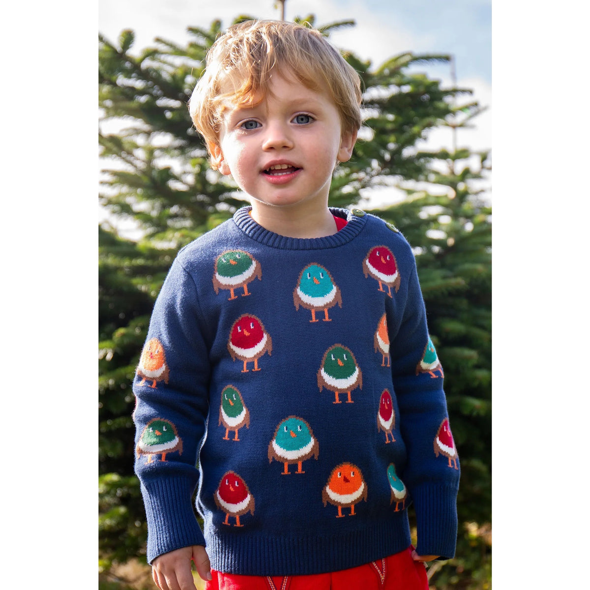 Frugi Jolly Knitted Jumper Rainbow Robins Clothing 2-3YRS / Navy,3-4YRS / Navy,4-5YRS / Navy,5-6YRS / Navy,6-7YRS / Navy,7-8YRS / Navy,8-9YRS / Navy