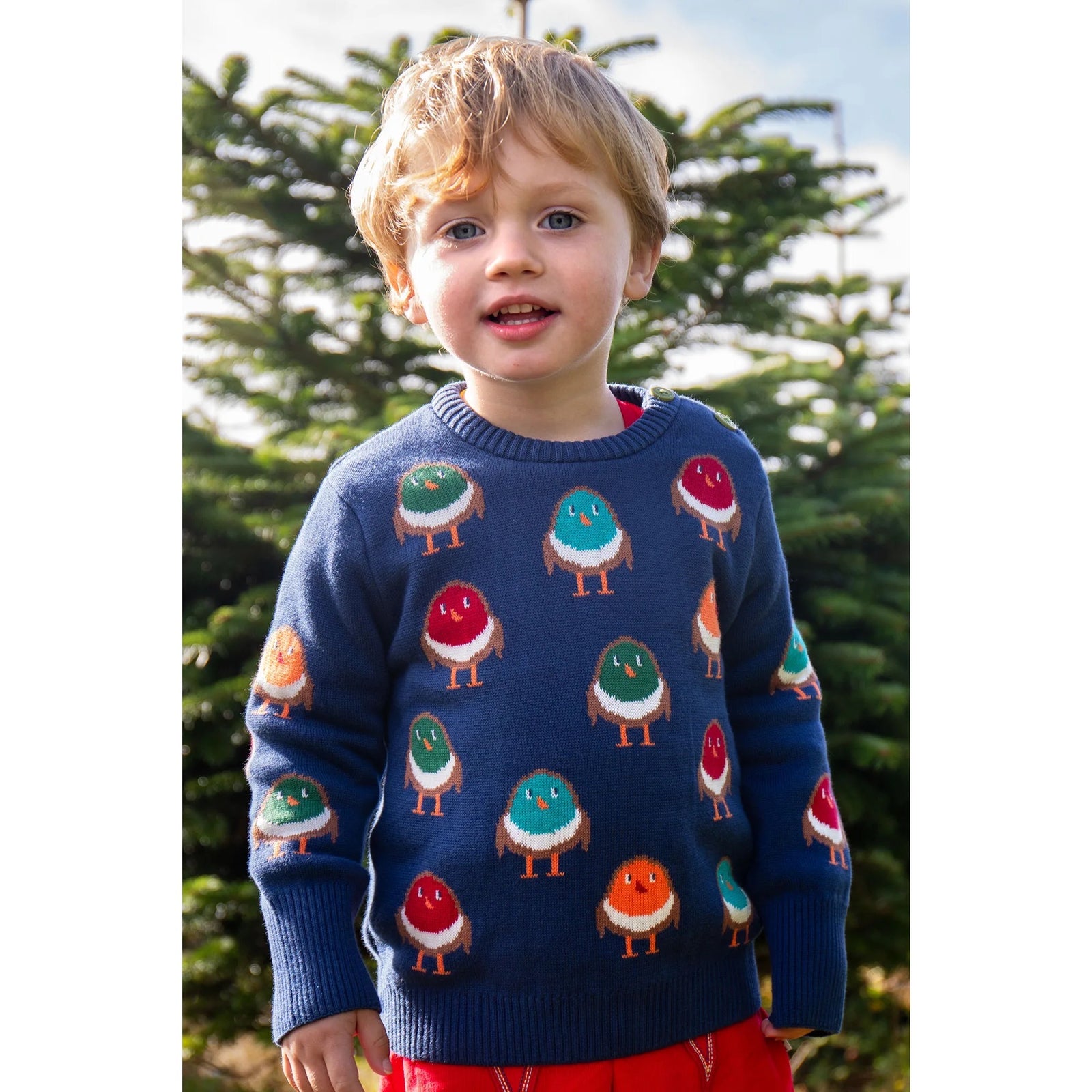 Frugi Jolly Knitted Jumper Rainbow Robins Clothing 2-3YRS / Navy,3-4YRS / Navy,4-5YRS / Navy,5-6YRS / Navy,6-7YRS / Navy,7-8YRS / Navy,8-9YRS / Navy
