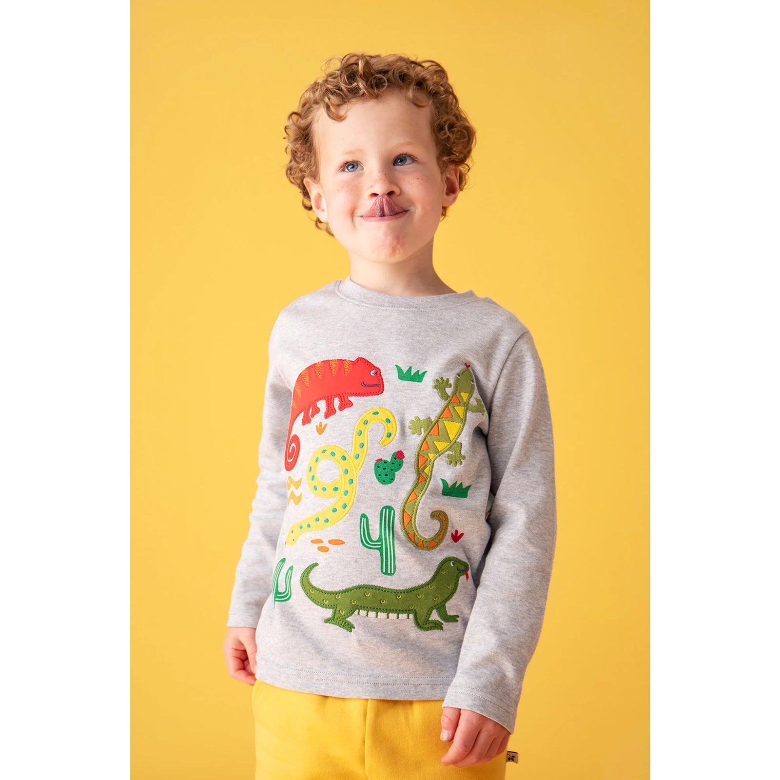 Frugi Terrific T-Shirt 500390S6gnbh Amphibians Clothing 2-3YRS / Grey,3-4YRS / Grey,4-5YRS / Grey,5-6YRS / Grey,6-7YRS / Grey,7-8YRS / Grey,8-9YRS / Grey