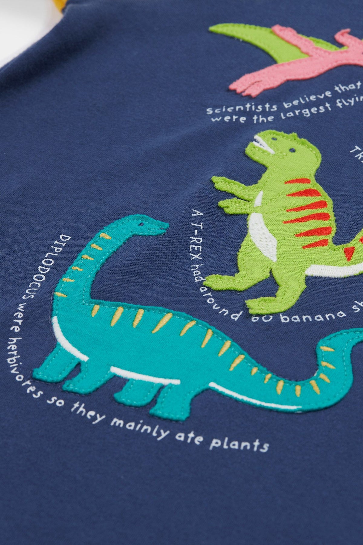 Frugi Renny Raglan T-Shirt Navy Dino Clothing 2-3YRS / Navy,3-4YRS / Navy,4-5YRS / Navy,5-6YRS / Navy,6-7YRS / Navy,7-8YRS / Navy