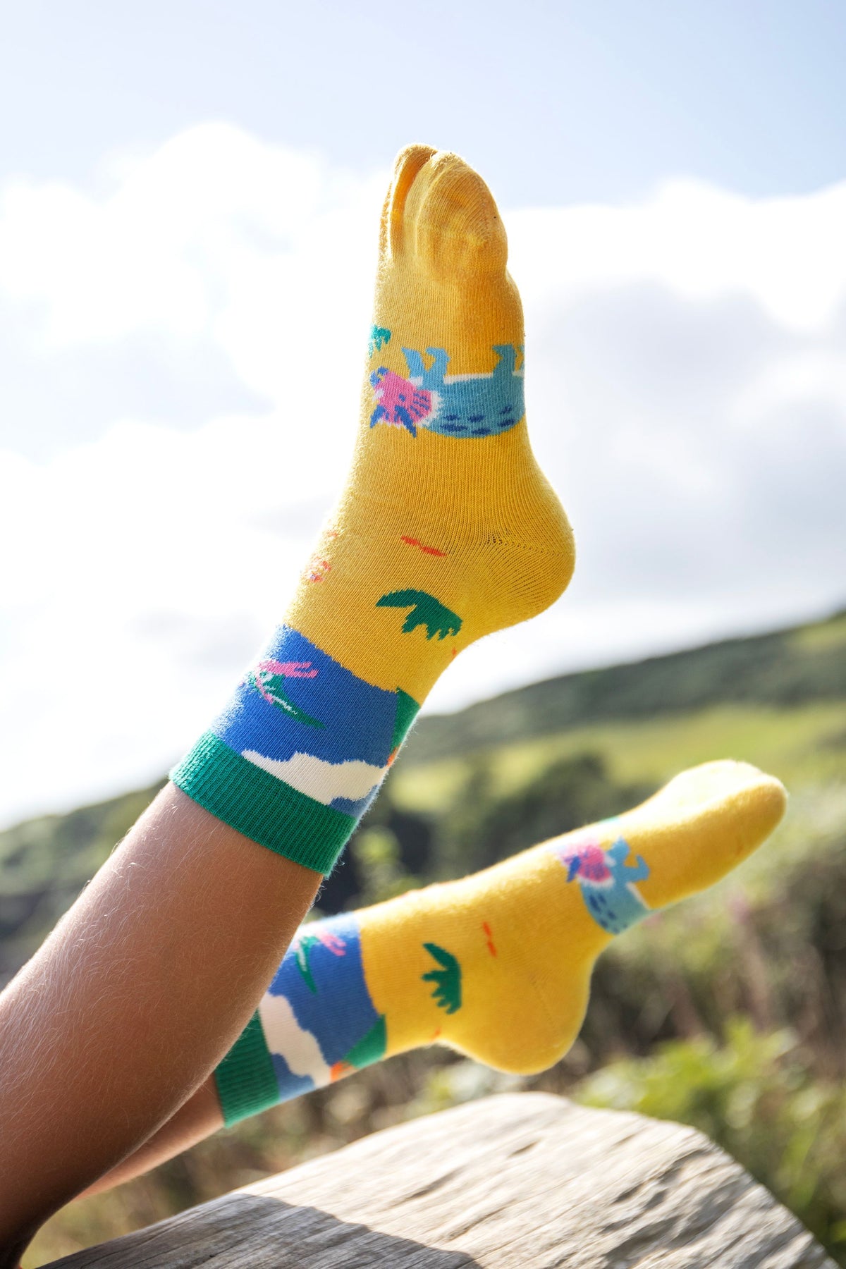 Frugi 3 Pack Socks 500038S5drmu Dino Roar Clothing UK6-8 / Multi,UK9-12 / Multi,UK13-2 / Multi