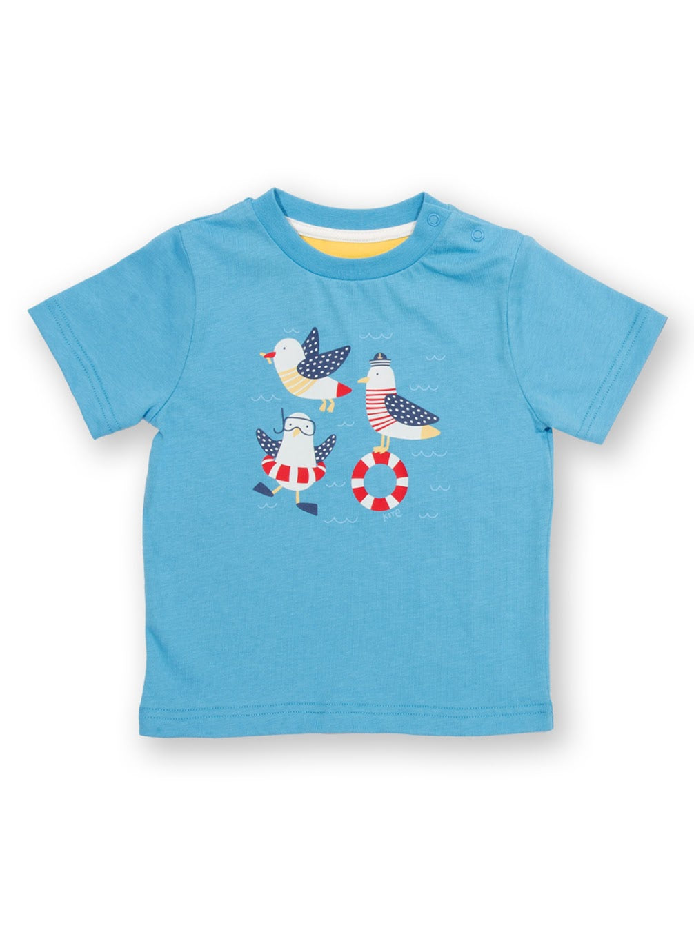 Kite Infant Boys Captain Gull T-Shirt 9653 Clothing 3-6M / Blue,6-9M / Blue,9-12M / Blue,12-18M / Blue,18-24M/2Y / Blue,3YRS / Blue,4YRS / Blue,5YRS / Blue