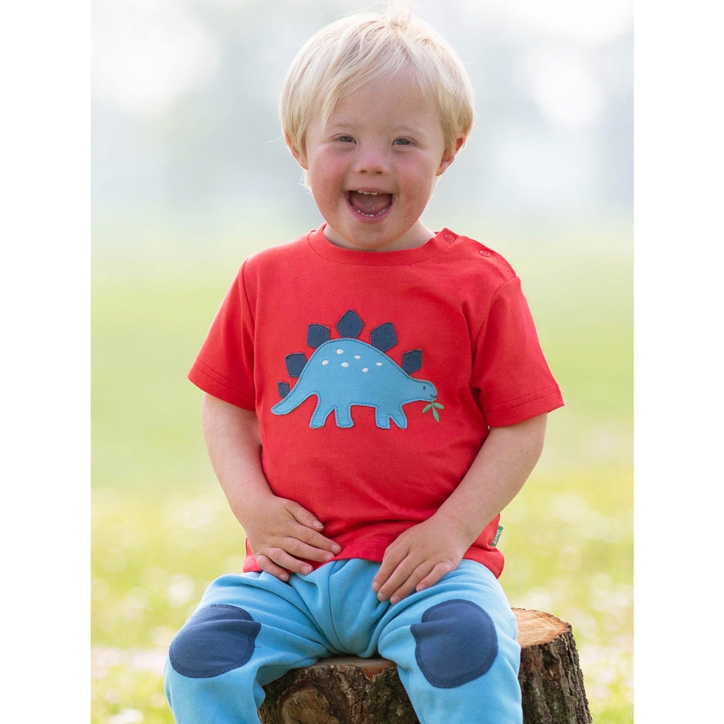 Kite Steggie Stomp Infant T-Shirt 9742 Clothing 3-6M / Red,6-9M / Red,9-12M / Red,12-18M / Red,18-24M/2Y / Red,3YRS / Red,4YRS / Red,5YRS / Red