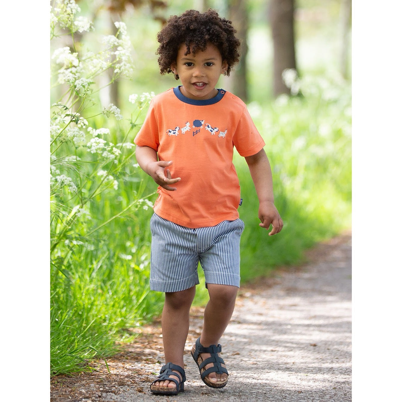 Kite Farm Fun Infant T-Shirt 41-9894 Clothing 3YRS / Orange,4YRS / Orange,5YRS / Orange