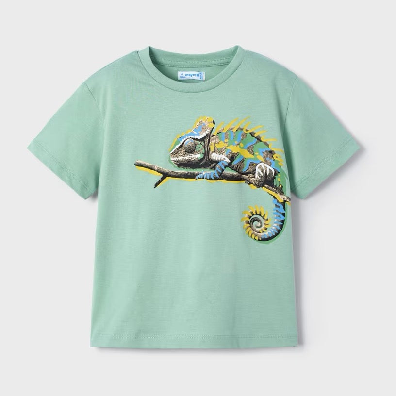 Mayoral Boys Chameleon T-Shirt 3045 Sage Clothing 4YRS / Sage,5YRS / Sage,6YRS / Sage,7YRS / Sage,8YRS / Sage,9YRS / Sage