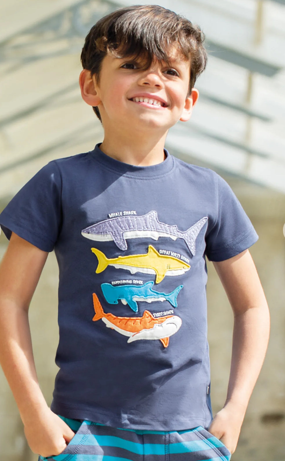 Frugi Avery Shark T-Shirt Pg6na Clothing 2-3YRS / Navy,3-4YRS / Navy,4-5YRS / Navy,5-6YRS / Navy,6-7YRS / Navy,7-8YRS / Navy,8-9YRS / Navy