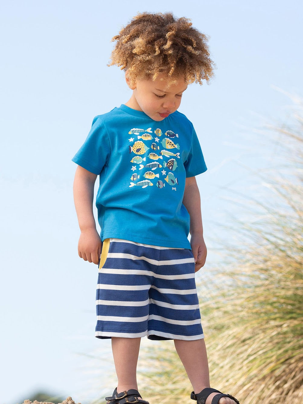 Kite Corfe Shorts F322 Navy Stripe Clothing 3YRS / Navy,4YRS / Navy,5YRS / Navy,6YRS / Navy,7YRS / Navy,8YRS / Navy
