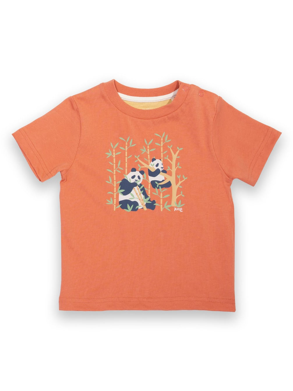 Kite Panda Pals Infant T-Shirt F277 Clothing 3-6M / Orange,6-9M / Orange,9-12M / Orange,12-18M / Orange,18-24M/2Y / Orange,3YRS / Orange,4YRS / Orange,5YRS / Orange,6YRS / Orange
