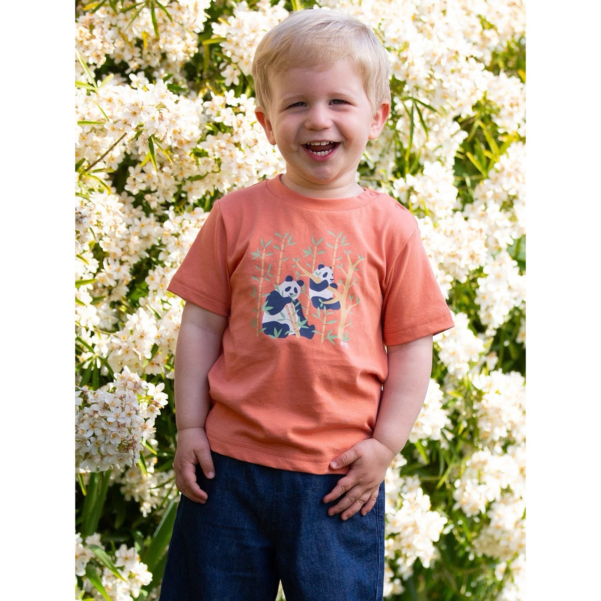 Kite Panda Pals Infant T-Shirt F277 Clothing 3-6M / Orange,6-9M / Orange,9-12M / Orange,12-18M / Orange,18-24M/2Y / Orange,3YRS / Orange,4YRS / Orange,5YRS / Orange,6YRS / Orange
