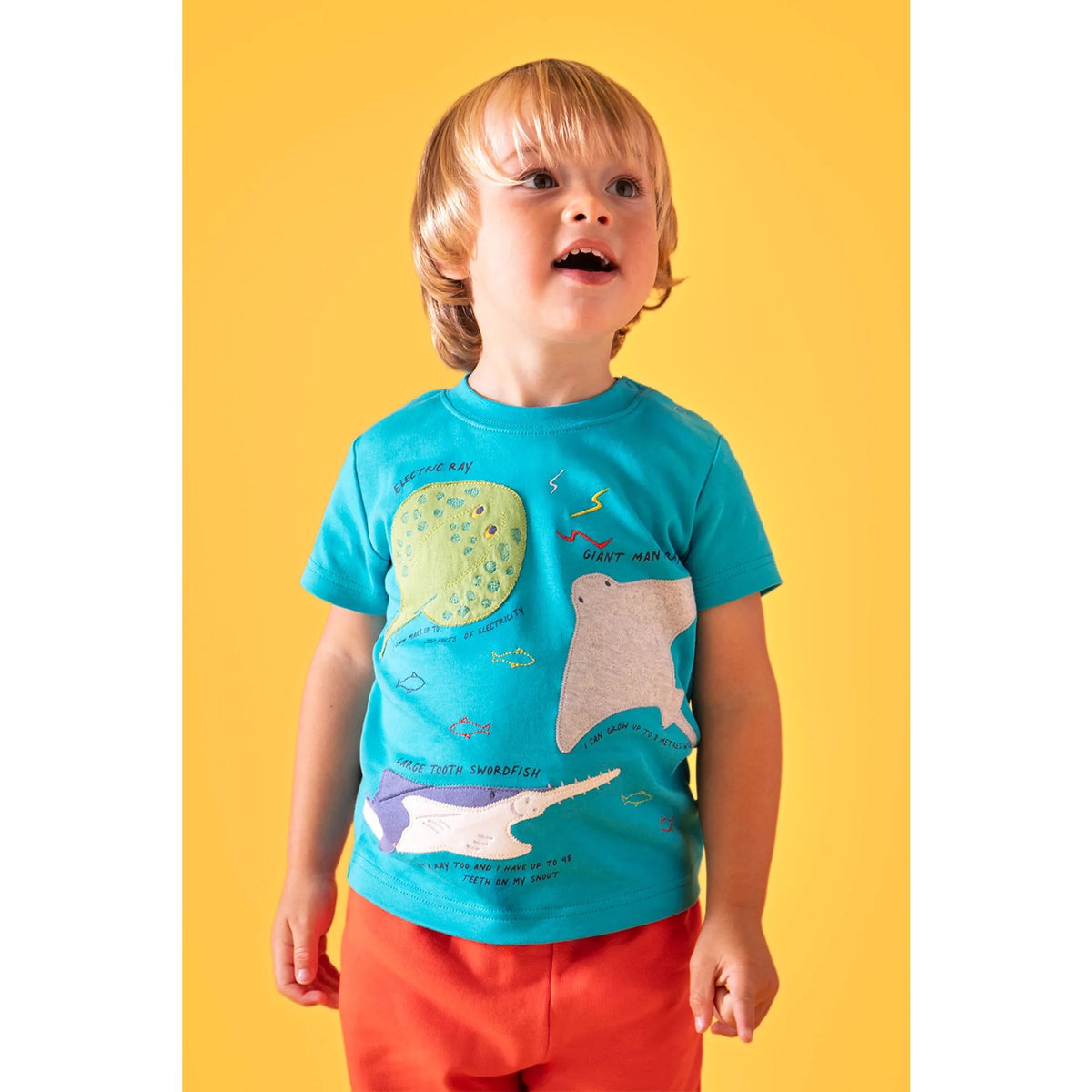 Frugi Avery T-Shirt 502154S6tnkl Tropical Sea