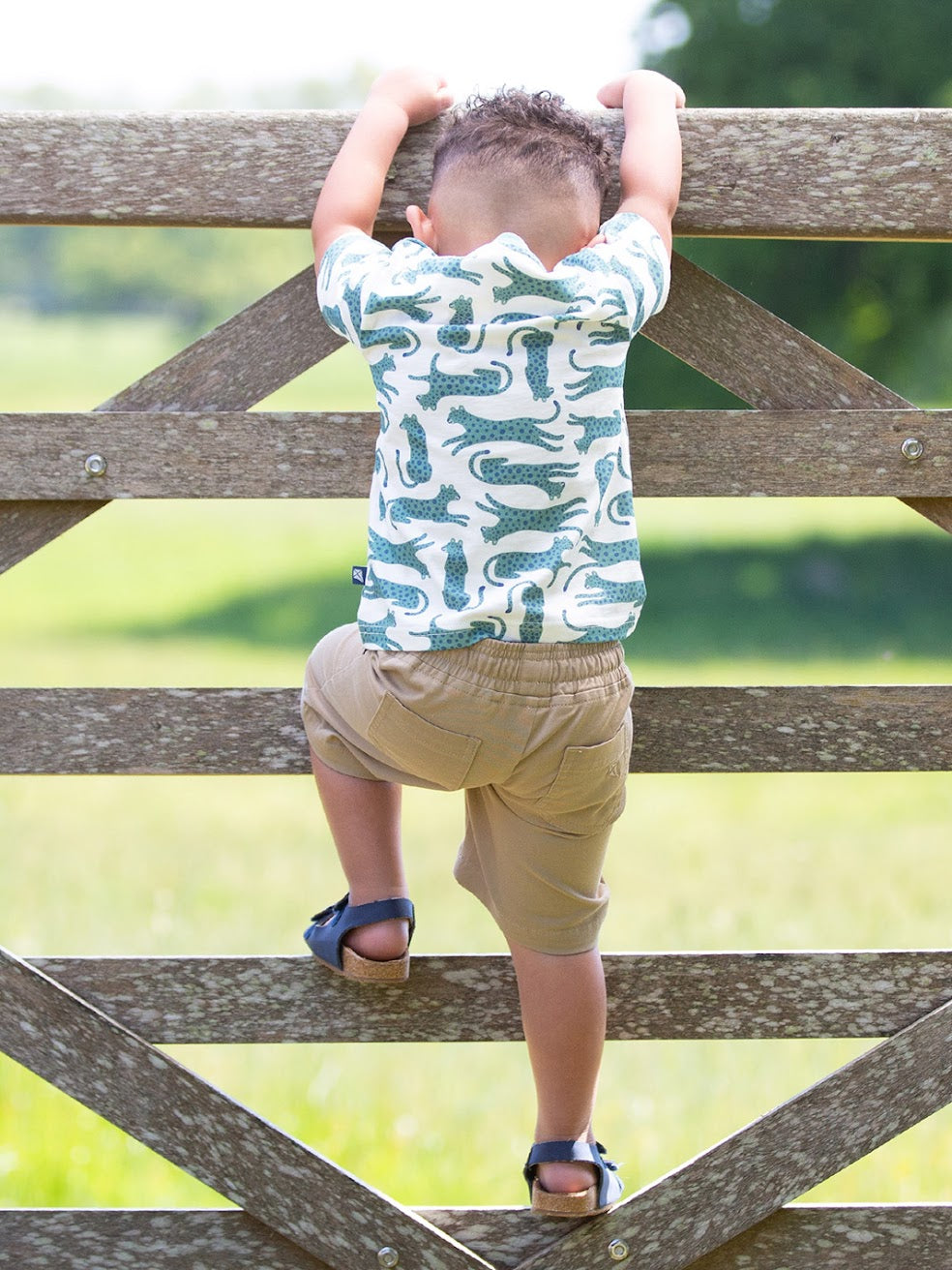 Kite Yacht Shorts Dune F240 Clothing 3YRS / Beige,4YRS / Beige,5YRS / Beige,6YRS / Beige,8YRS / Beige