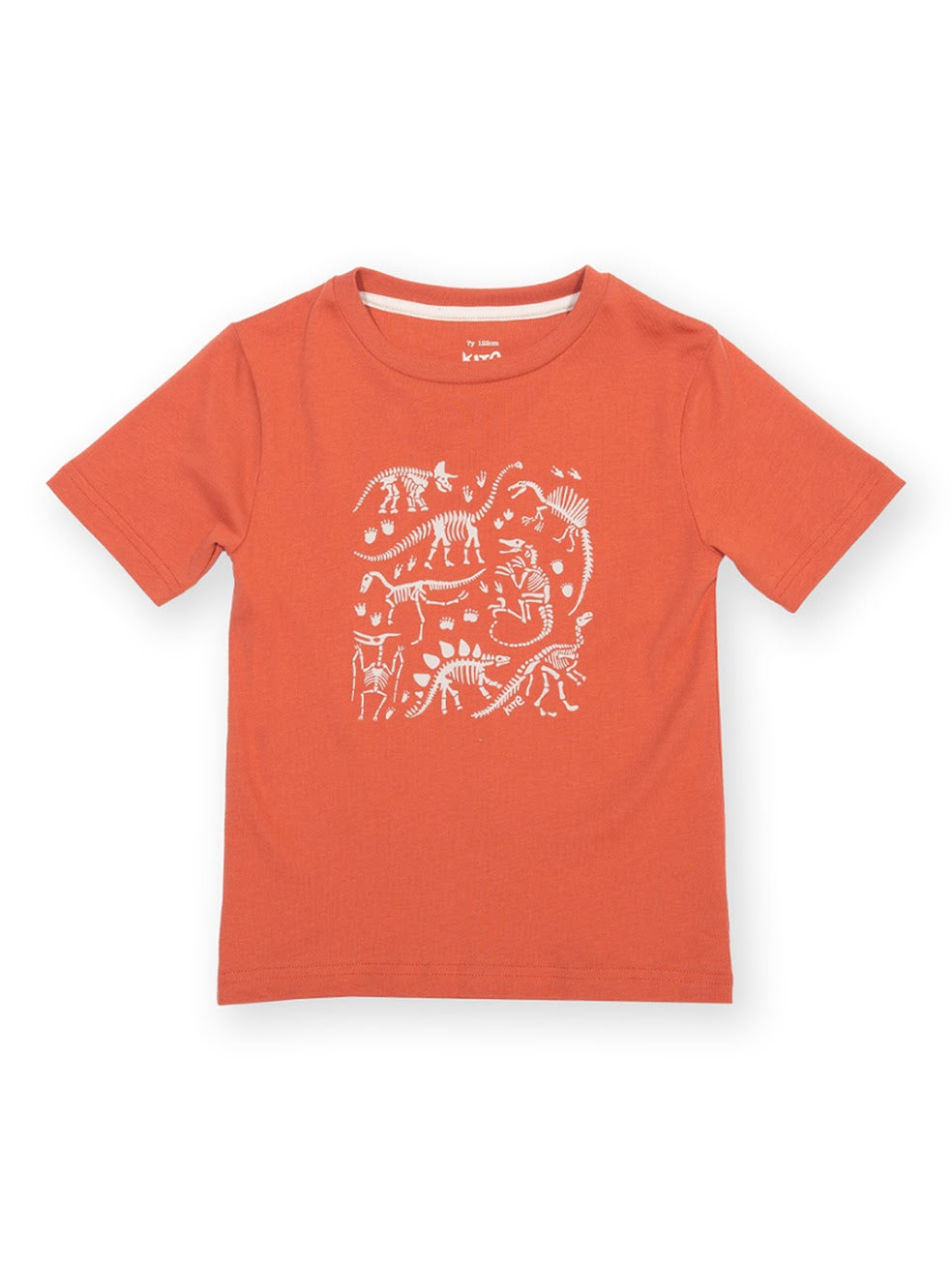 Kite Dino Discovery T-Shirt 9654 Clothing 3YRS / Orange,4YRS / Orange,5YRS / Orange,6YRS / Orange,7YRS / Orange,8YRS / Orange