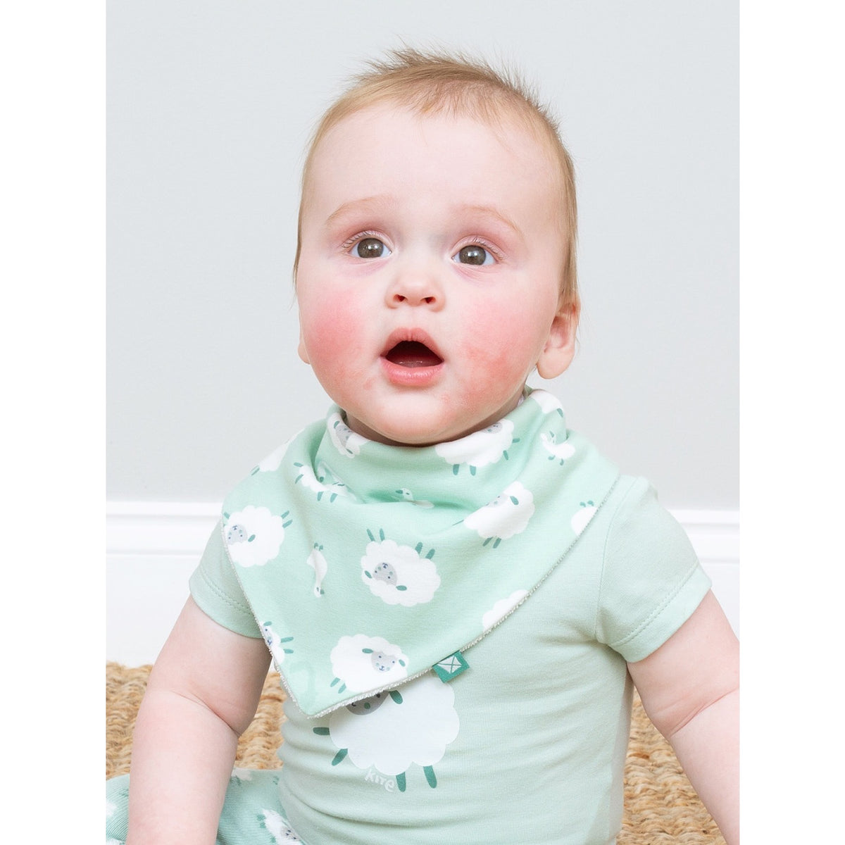 Kite Baa Baa Quack Baby Bib 1825 Accessories ONE SIZE / Mint