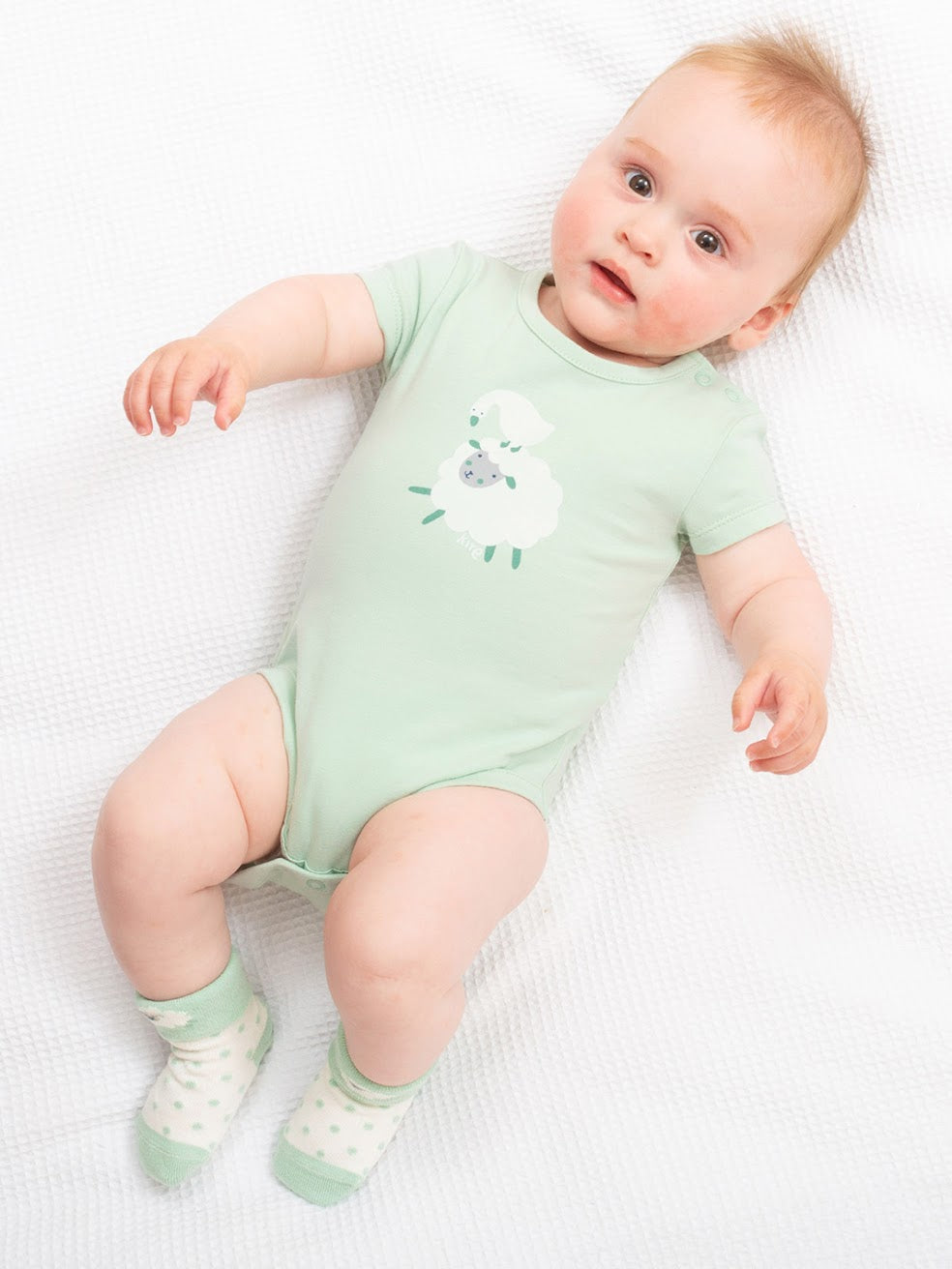 Kite 2 Pack Busy Baa Baa Socks 3093 Clothing 0-6M / Multi,6-12M / Multi