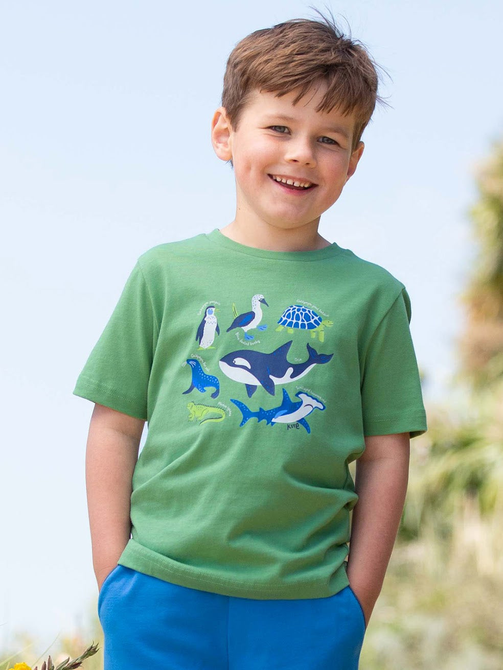 Kite Galapagos T-Shirt 62-9388 Green Clothing 3YRS / Green,4YRS / Green,5YRS / Green,6YRS / Green,7YRS / Green,8YRS / Green