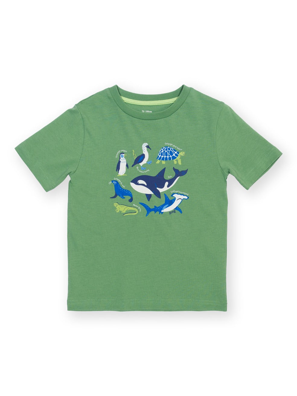 Kite Galapagos T-Shirt 62-9388 Green Clothing 3YRS / Green,4YRS / Green,5YRS / Green,6YRS / Green,7YRS / Green,8YRS / Green