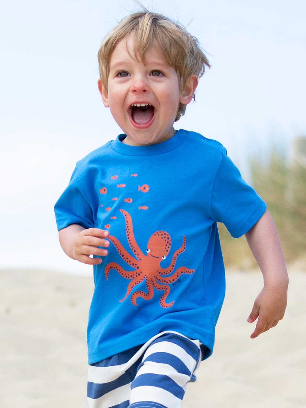 Kite Sailor Infant Shorts 62-9750 Navy Stripe Clothing 3-6M / Navy,6-9M / Navy,9-12M / Navy,12-18M / Navy,18-24M/2Y / Navy,3YRS / Navy,4YRS / Navy,5YRS / Navy,6YRS / Navy