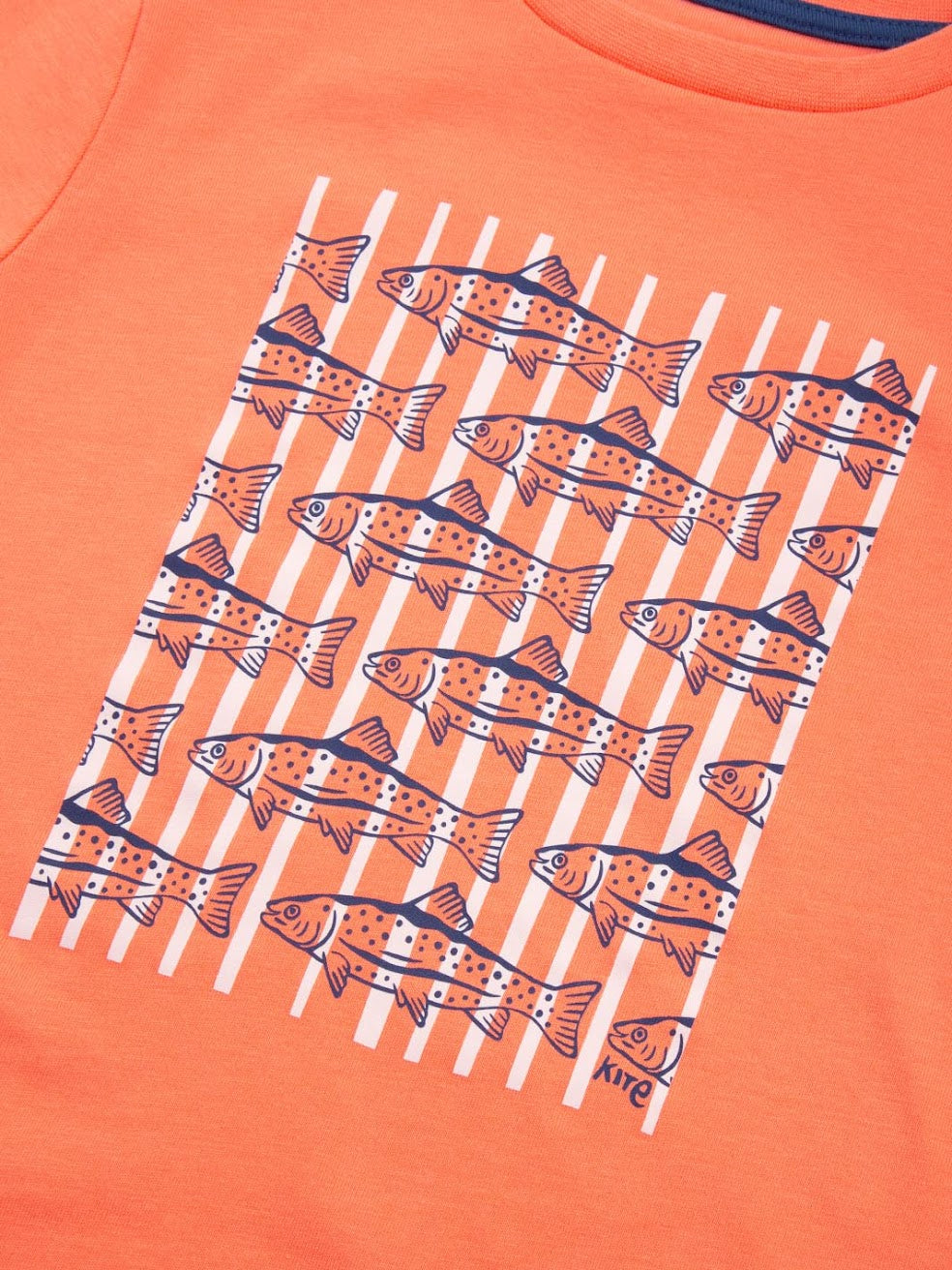 Kite Trout And About T-Shirt 62-F405 Orange Clothing 3YRS / Orange,4YRS / Orange,5YRS / Orange,6YRS / Orange,7YRS / Orange,8YRS / Orange