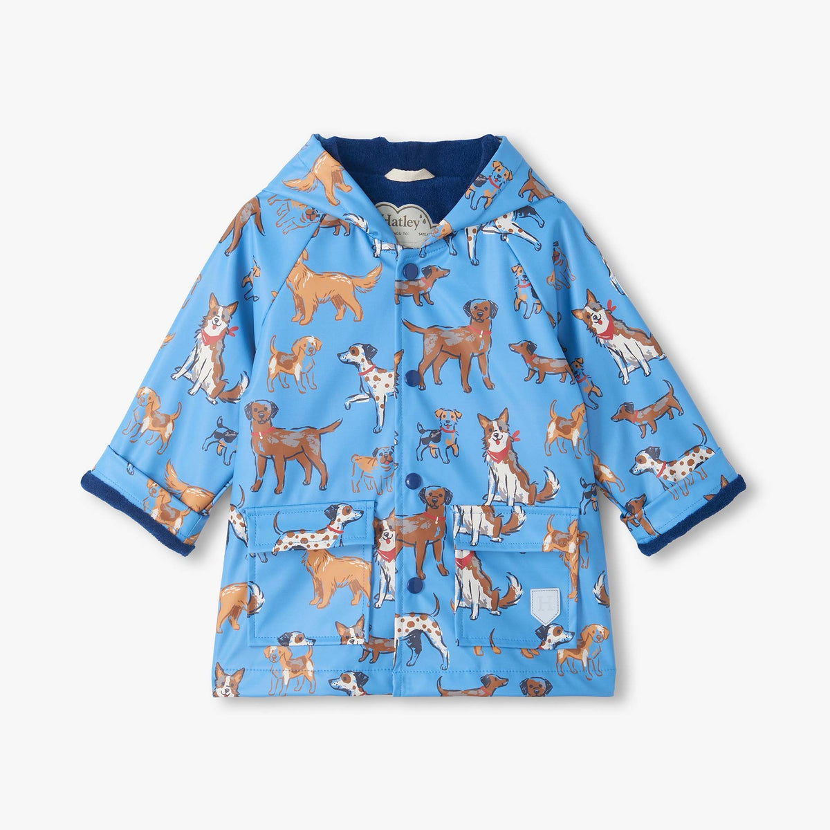 Hatley Blue Little Pups Pre-School Raincoat