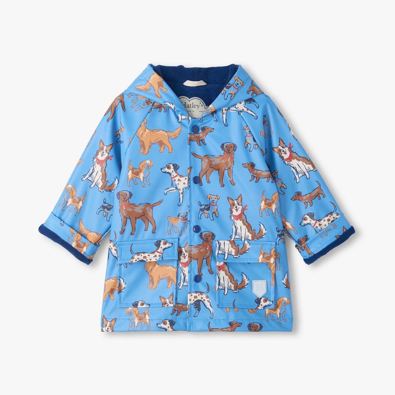 Hatley Blue Little Pups Pre-School Raincoat Clothing 12/18M / Blue,18/24M / Blue,2YRS / Blue,3YRS / Blue,4YRS / Blue,5YRS / Blue
