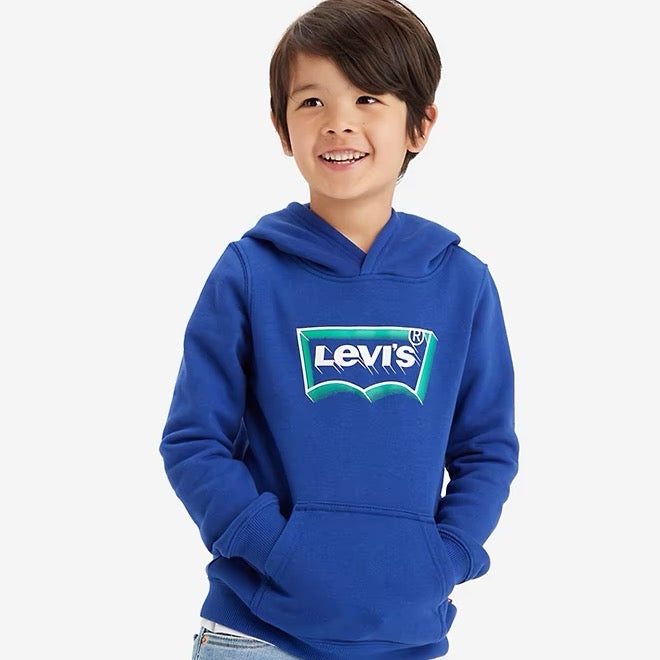 Levi's hotsell pullover hoodie