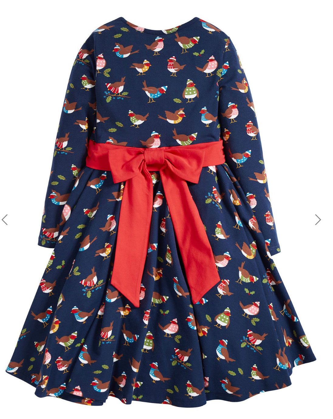 Frugi Party Skater Dress Indigo Robins Dra119 Clothing 2-3YRS / Indigo,3-4YRS / Indigo,4-5YRS / Indigo,5-6YRS / Indigo,6-7YRS / Indigo,7-8YRS / Indigo,8-9YRS / Indigo,9-10YRS / Indigo