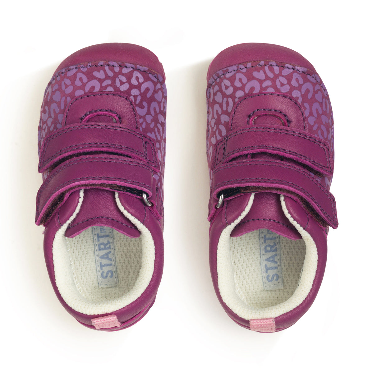 Startrite Little Smile Pre-Walker G Fit Berry Leopard Footwear UK2 INFANT / Berry,UK3 INFANT / Berry,UK4 INFANT / Berry