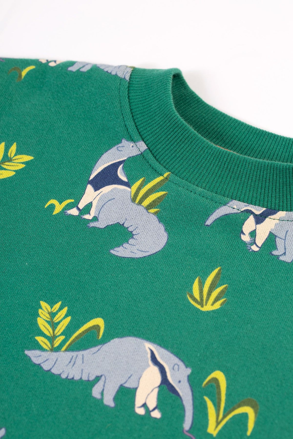 Frugi Superb Sweatshirt Anteater Parade Clothing 2-3YRS / Green,3-4YRS / Green,4-5YRS / Green,5-6YRS / Green,6-7YRS / Green,7-8YRS / Green,8-9YRS / Green