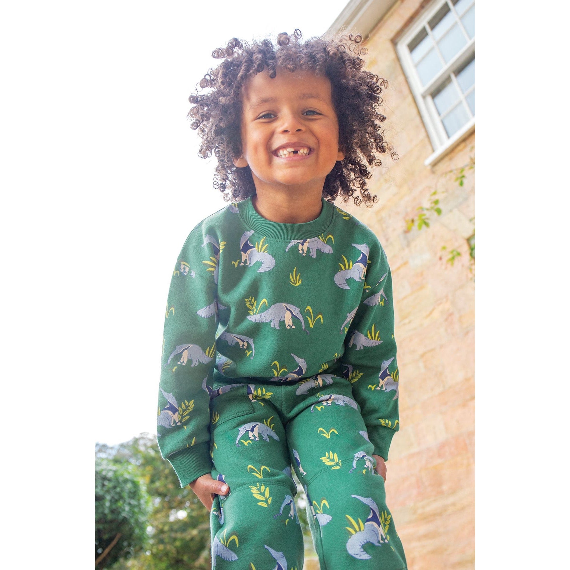 Frugi Superb Sweatshirt Anteater Parade Clothing 2-3YRS / Green,3-4YRS / Green,4-5YRS / Green,5-6YRS / Green,6-7YRS / Green,7-8YRS / Green,8-9YRS / Green