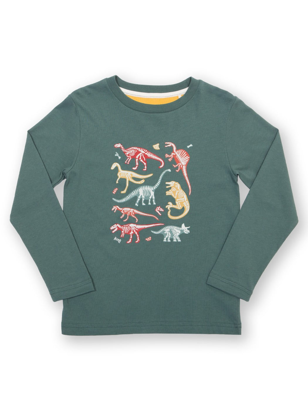 Kite Dino Bones T-Shirt 53-9830 Clothing 3YRS / Green,4YRS / Green,5YRS / Green,6YRS / Green,7YRS / Green,8YRS / Green