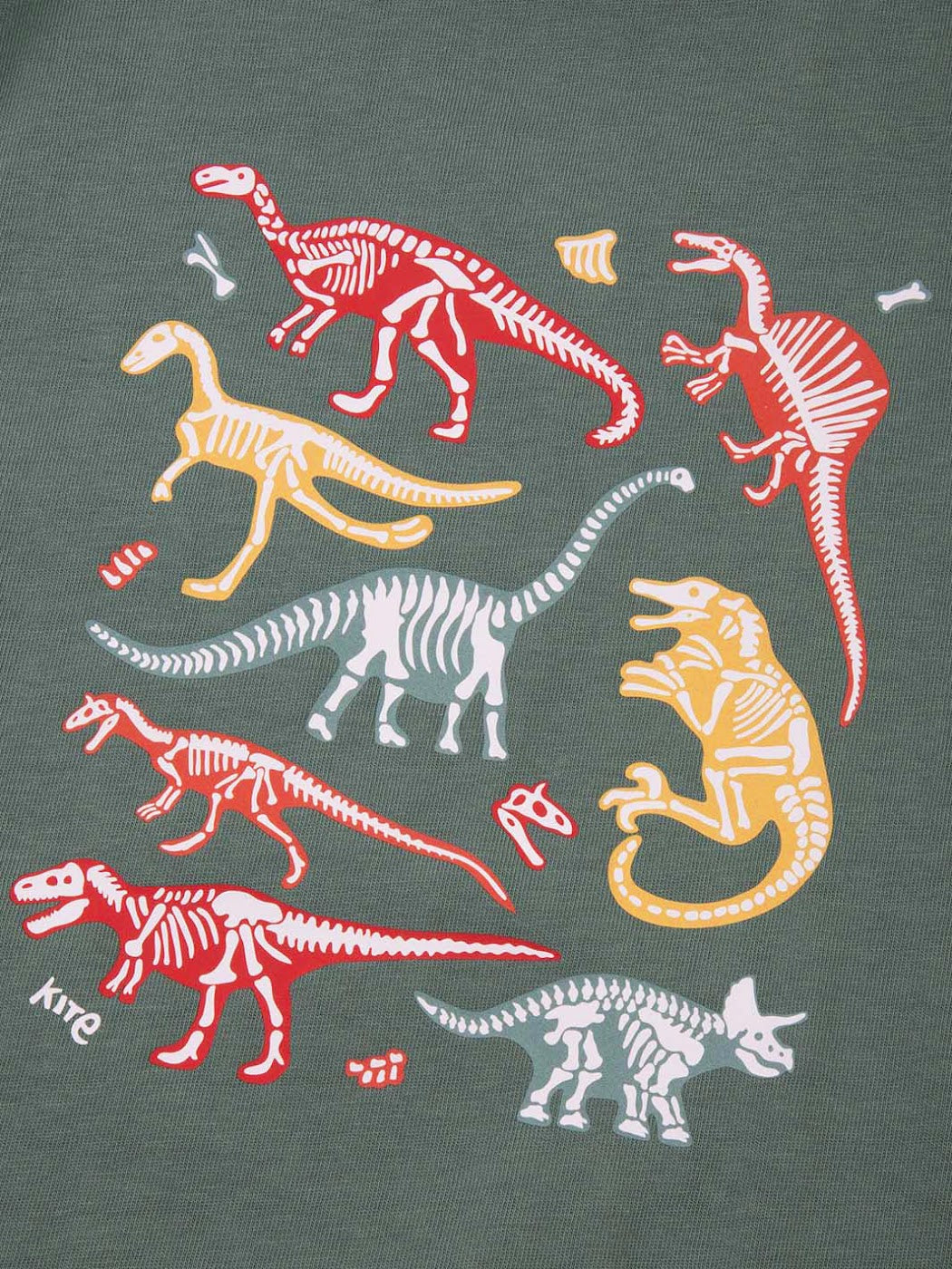 Kite Dino Bones T-Shirt 53-9830 Clothing 3YRS / Green,4YRS / Green,5YRS / Green,6YRS / Green,7YRS / Green,8YRS / Green