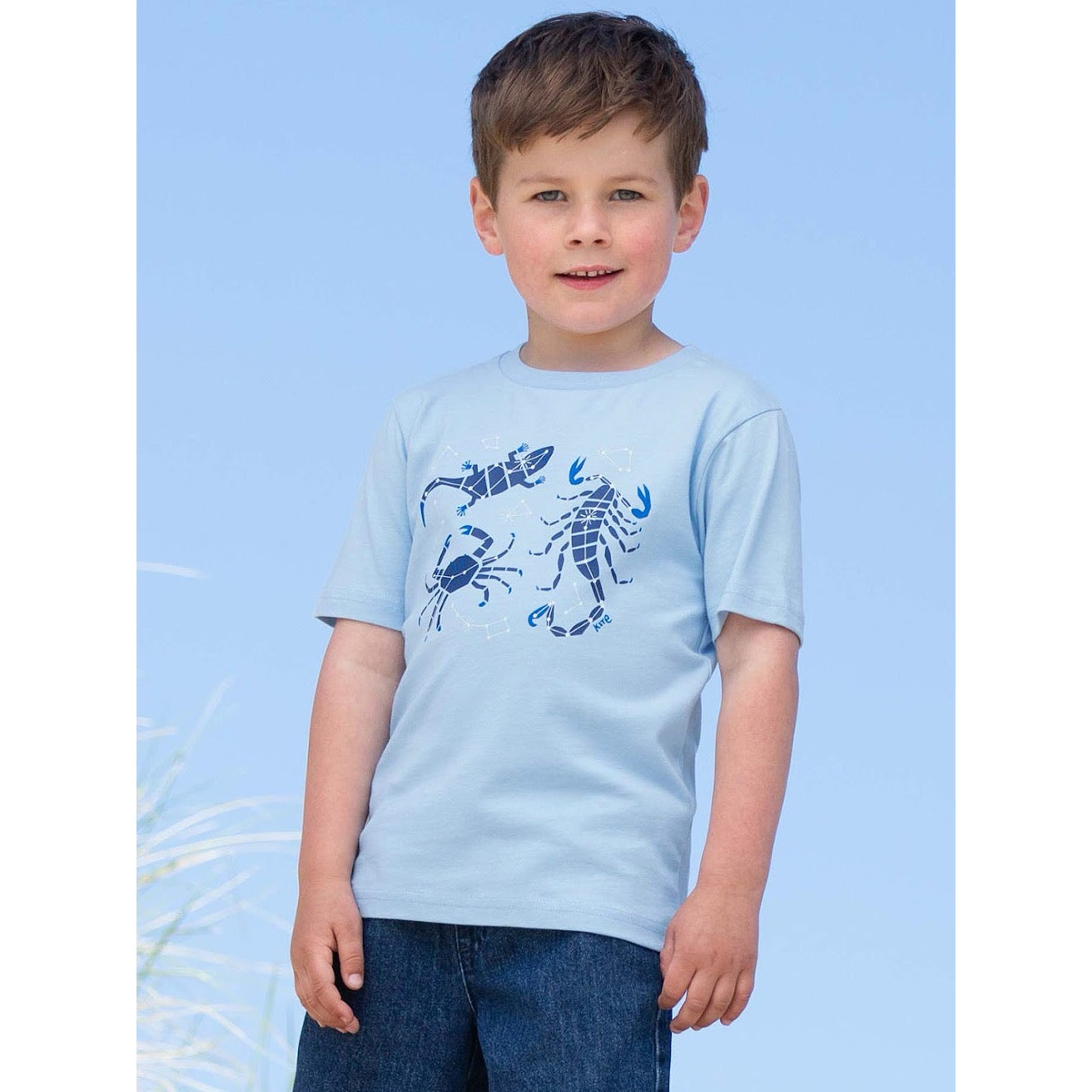 Kite Constellations T-Shirt 62-9803 Pale Blue Clothing 3YRS / Pale Blue,4YRS / Pale Blue,5YRS / Pale Blue,6YRS / Pale Blue,7YRS / Pale Blue,8YRS / Pale Blue