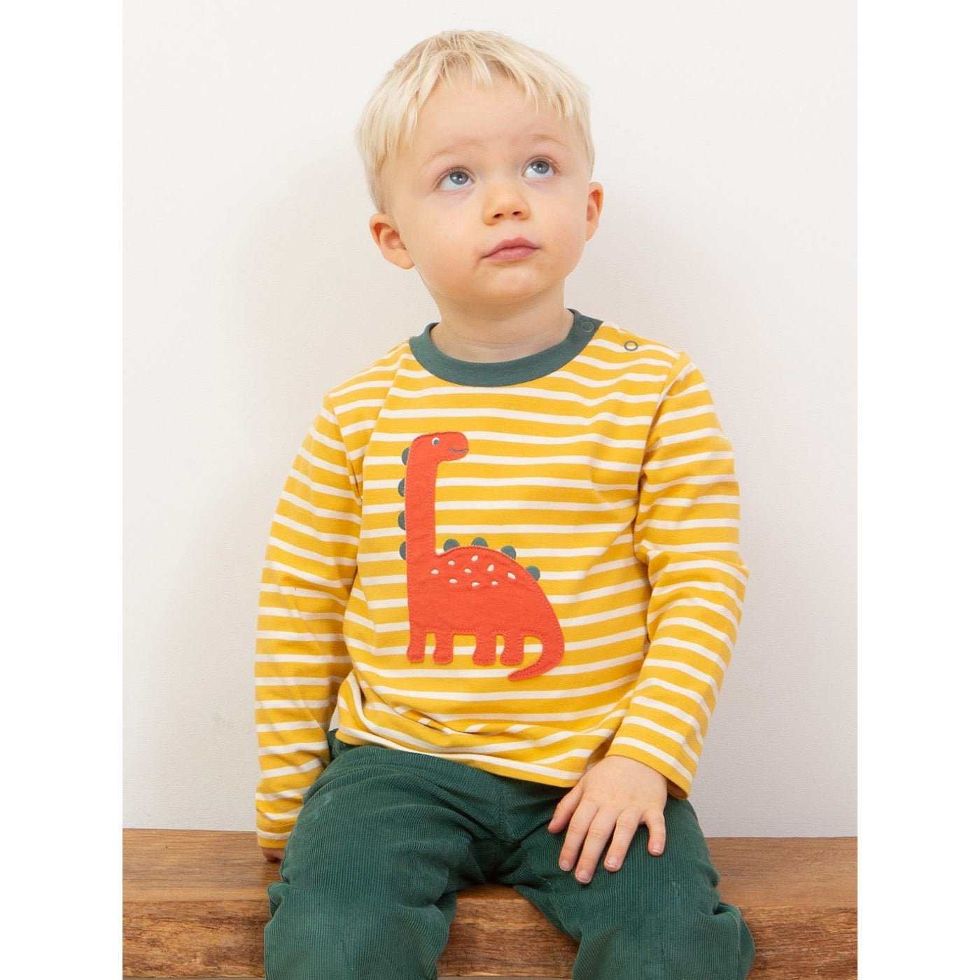 Kite Dinky Dino Infant T-Shirt 53-9326 Yellow Stripe Clothing 3-6M / Yellow,6-9M / Yellow,9-12M / Yellow,12-18M / Yellow,18-24M/2Y / Yellow,3YRS / Yellow,4YRS / Yellow,5YRS / Yellow
