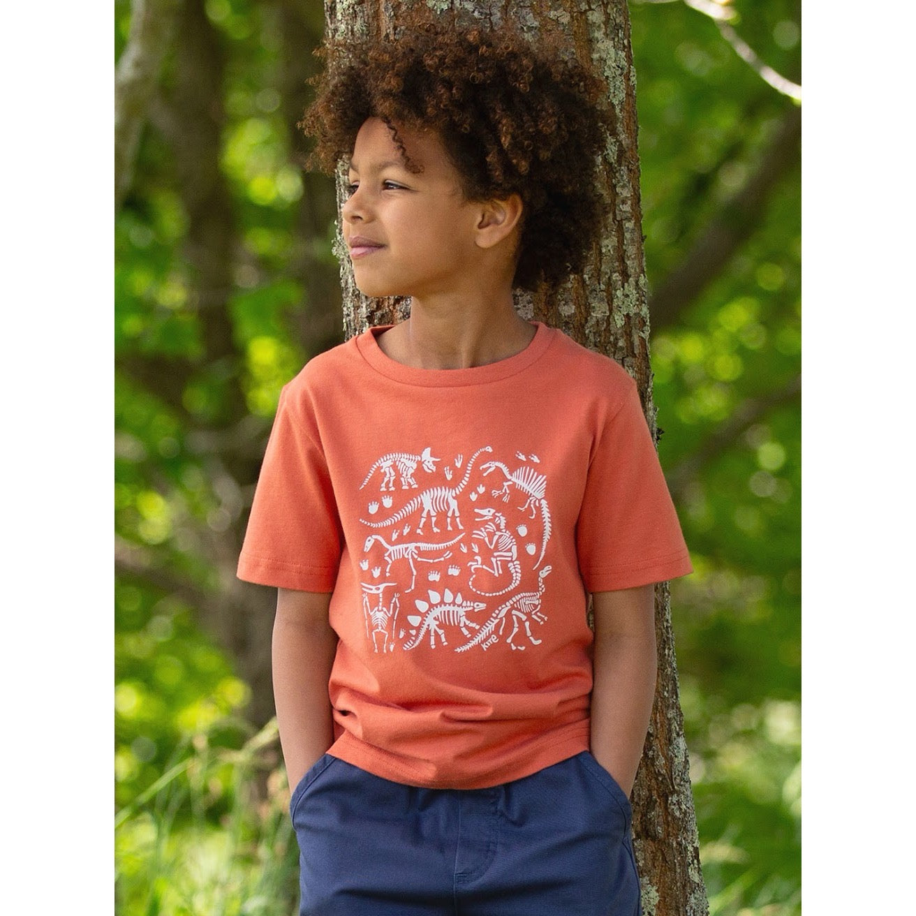 Kite Dino Discovery T-Shirt 9654 Clothing 3YRS / Orange,4YRS / Orange,5YRS / Orange,6YRS / Orange,7YRS / Orange,8YRS / Orange