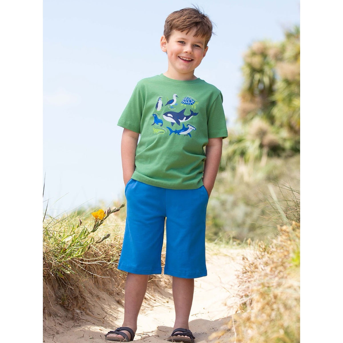 Kite Galapagos T-Shirt 62-9388 Green Clothing 3YRS / Green,4YRS / Green,5YRS / Green,6YRS / Green,7YRS / Green,8YRS / Green