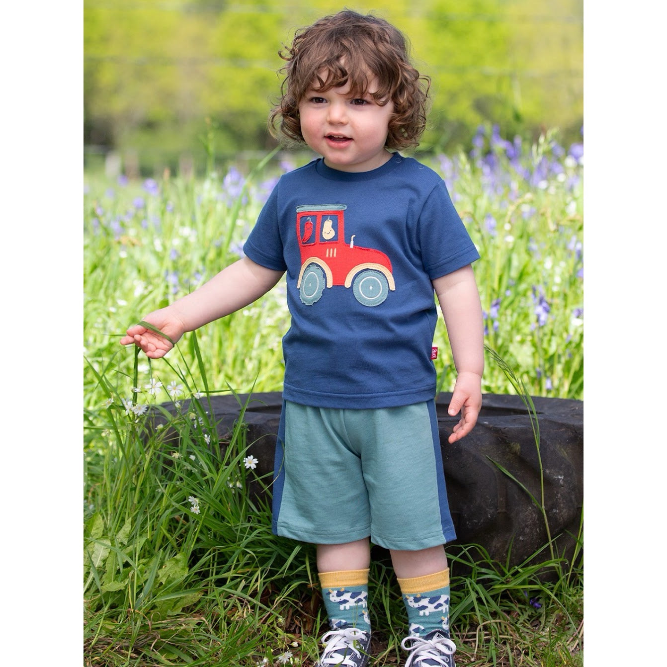 Kite Infant Corfe Shorts F556 Clothing 6-9M / Seagrass,9-12M / Seagrass,12-18M / Seagrass,18-24M/2Y / Seagrass,3YRS / Seagrass,4YRS / Seagrass,5YRS / Seagrass