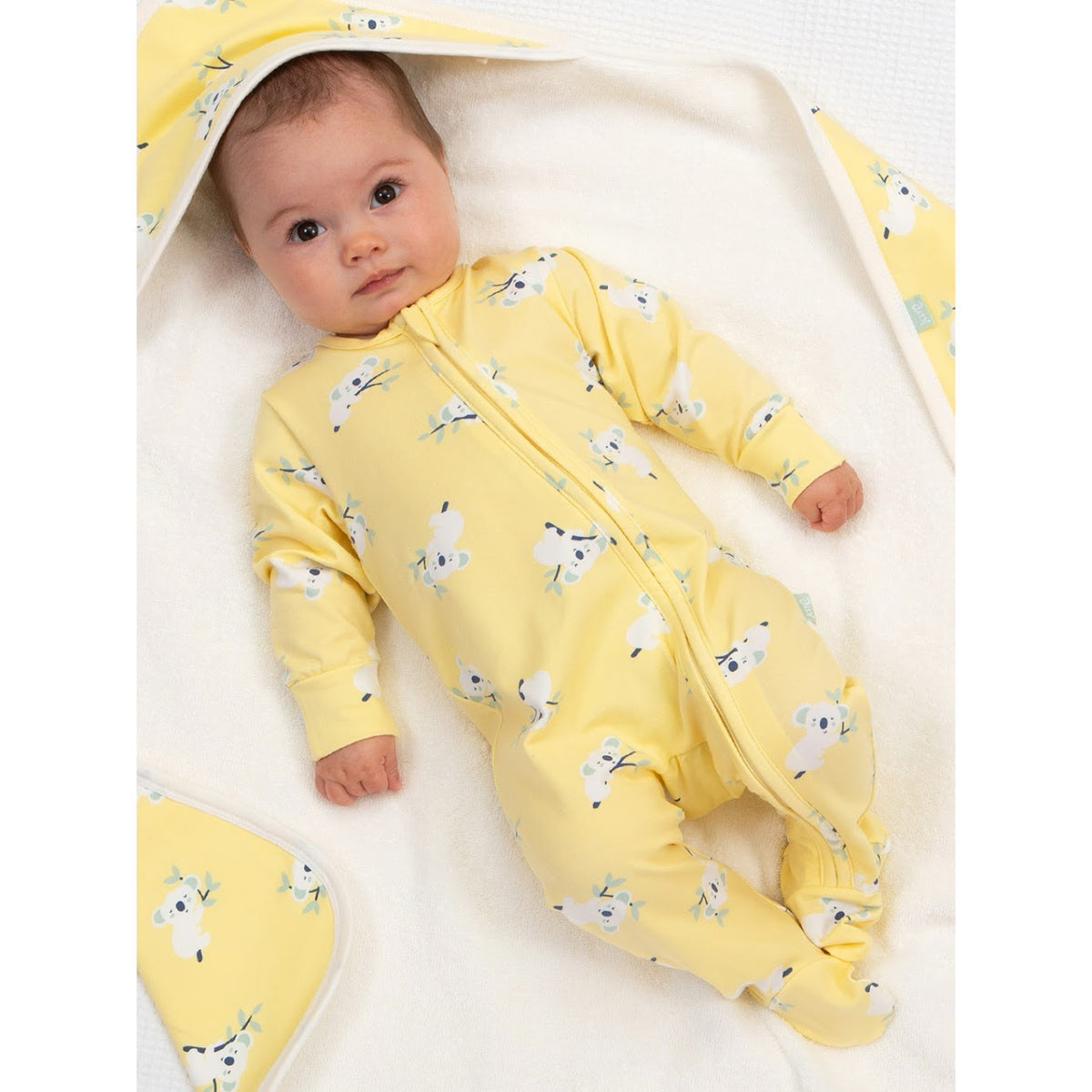 Kite Koala Time Sleepsuit 8769 Clothing NEWBORN / Yellow,0-1M / Yellow,0-3M / Yellow,3-6M / Yellow,6-9M / Yellow