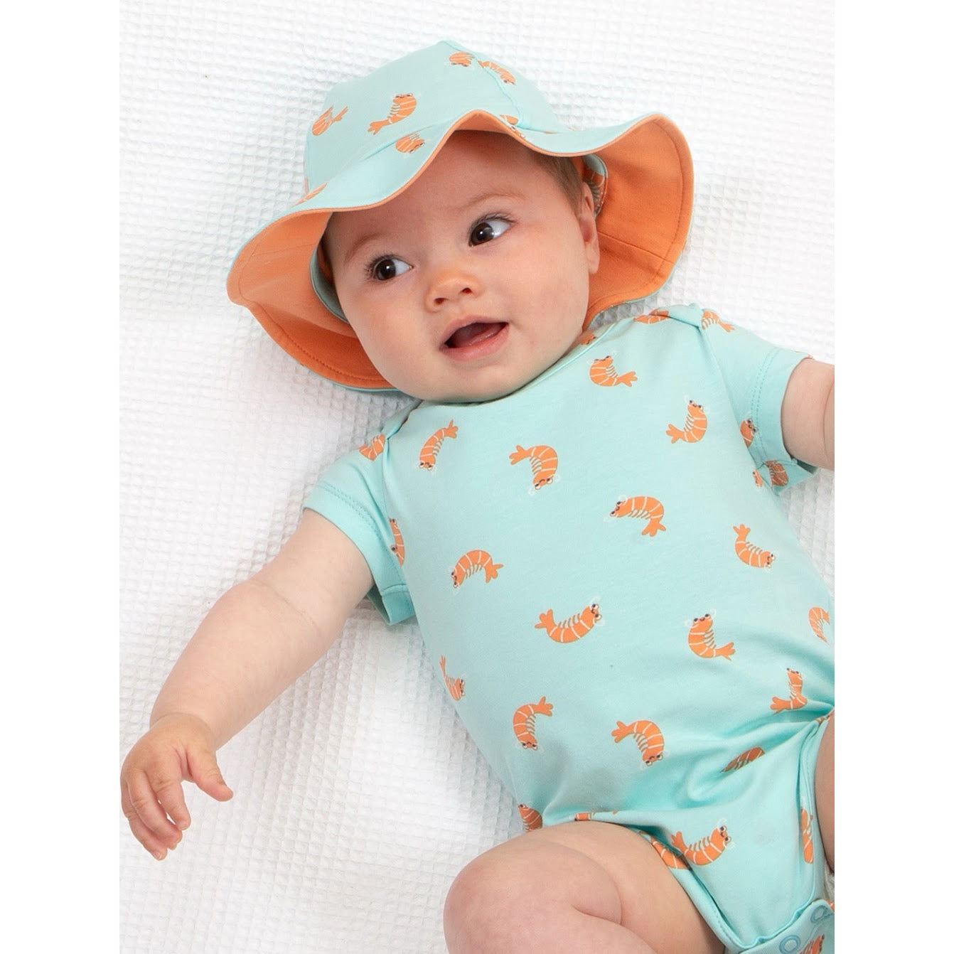 Kite Little Shrimp Baby Sun Hat 3266 Clothing 0-6M / Aqua,6-12M / Aqua,12-24M / Aqua