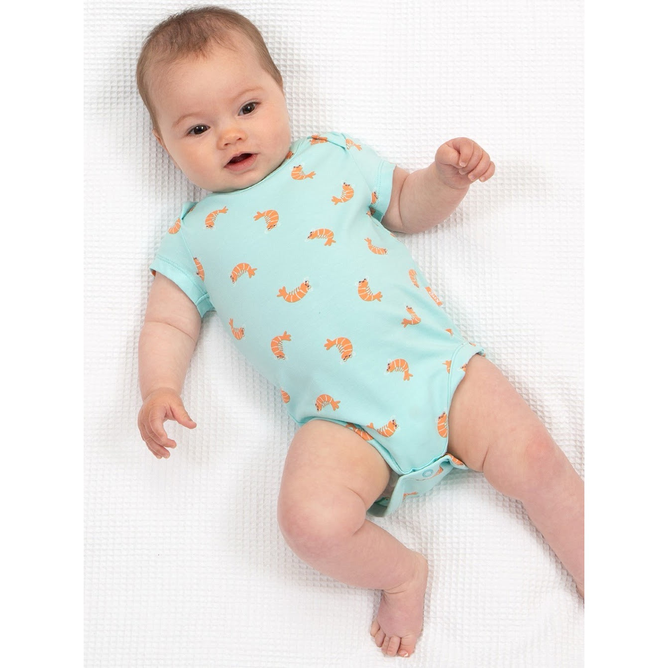 Kite Little Shrimp Bodysuit 8705 Clothing 0-3M / Aqua,3-6M / Aqua,6-9M / Aqua