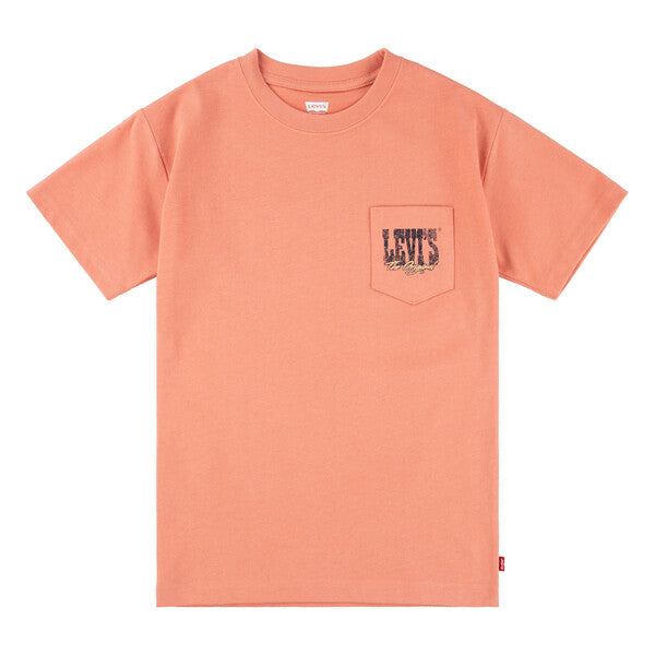 Levis Boys Canyon Landscape T-Shirt 9Em301-N8g Clothing 10YRS / Orange,12YRS / Orange,14YRS / Orange,16YRS / Orange