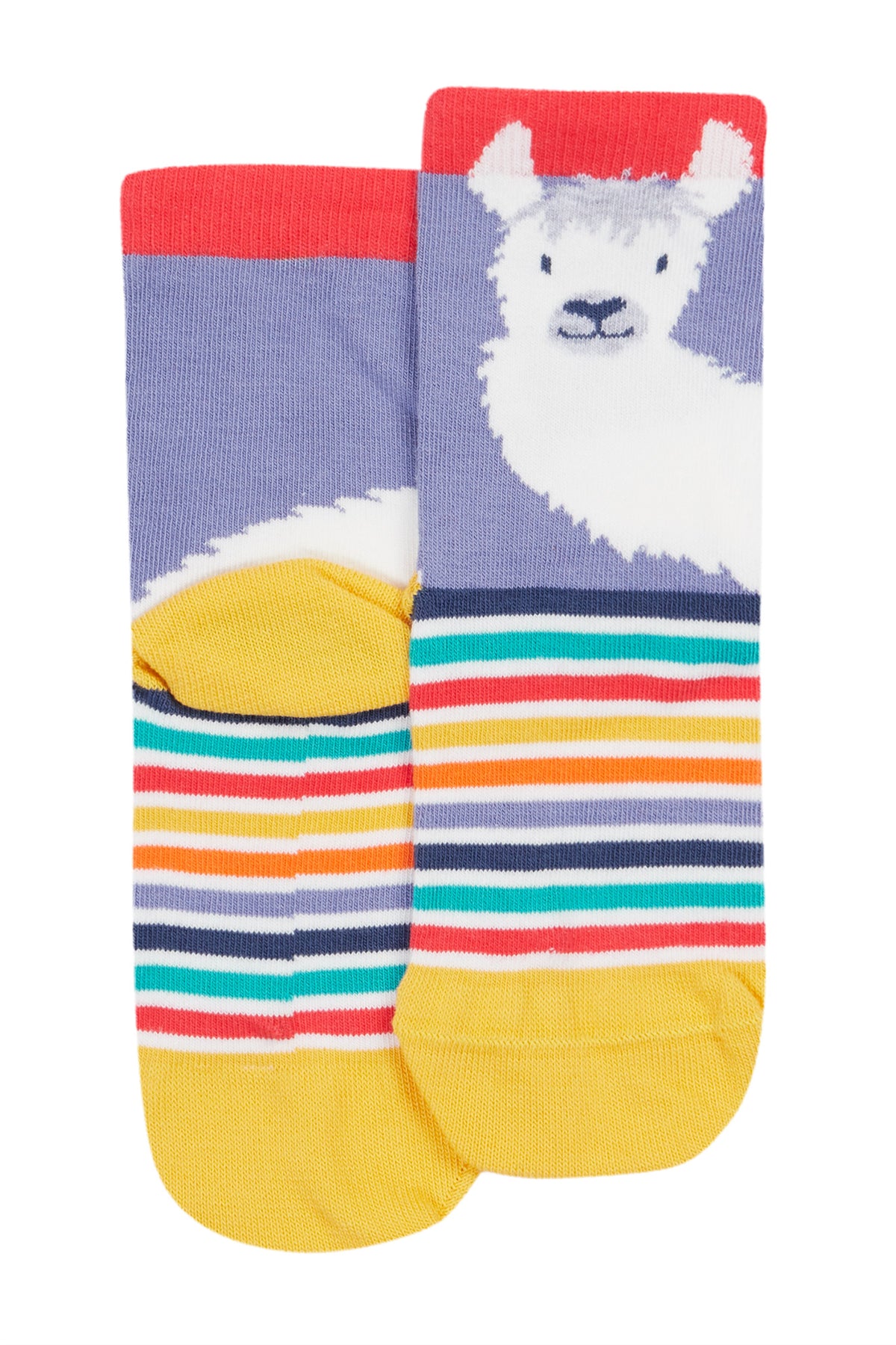 Frugi 3 Pack Socks Zoologist Multipack Clothing UK3-5 ADULT / Multi,UK6-8 / Multi,UK9-12 / Multi,UK13-2 / Multi