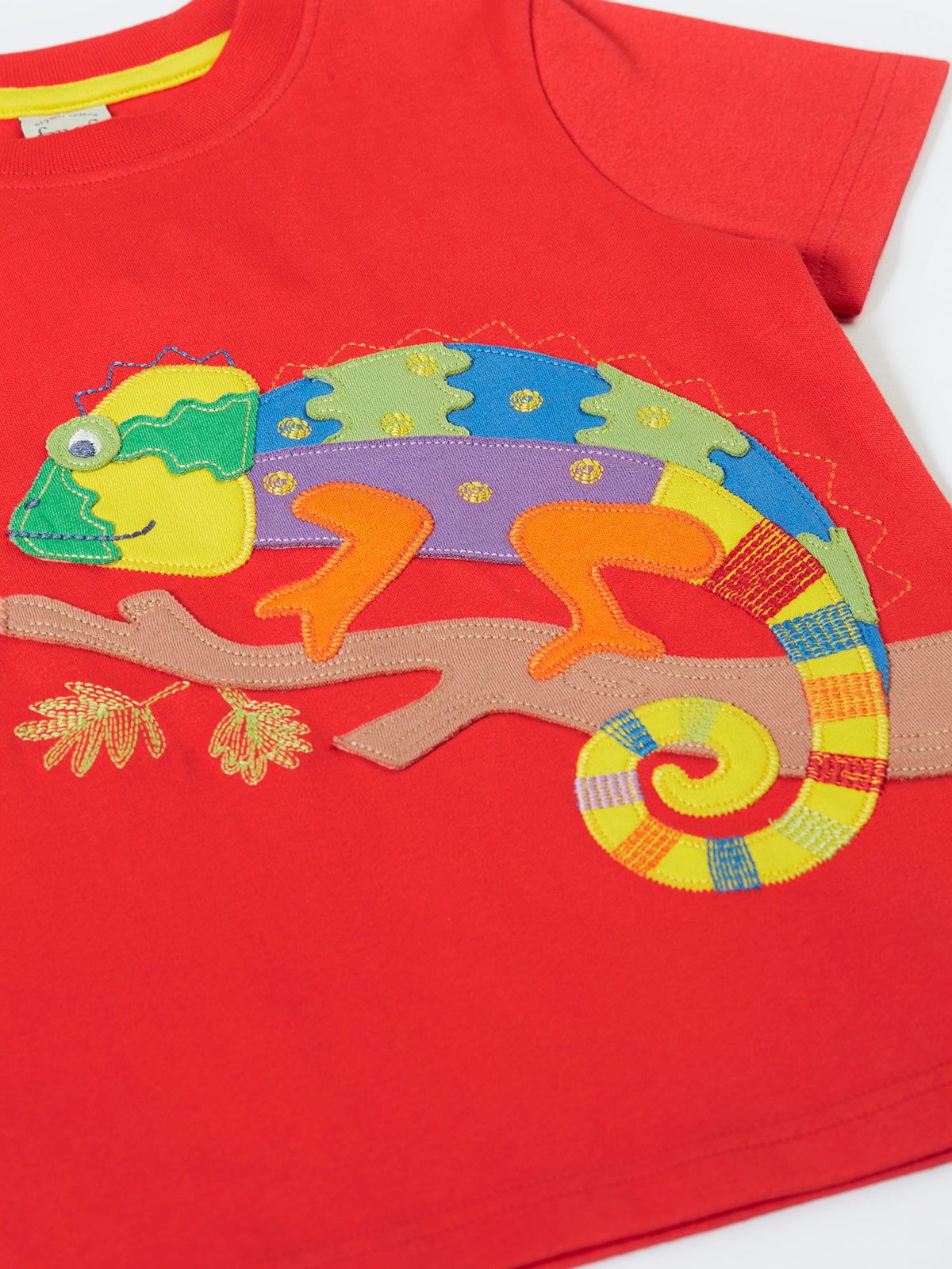 Frugi Carsen T-Shirt 501788S6plqn Chameleon Clothing 2-3YRS / Red,3-4YRS / Red,4-5YRS / Red,5-6YRS / Red,6-7YRS / Red,7-8YRS / Red,8-9YRS / Red