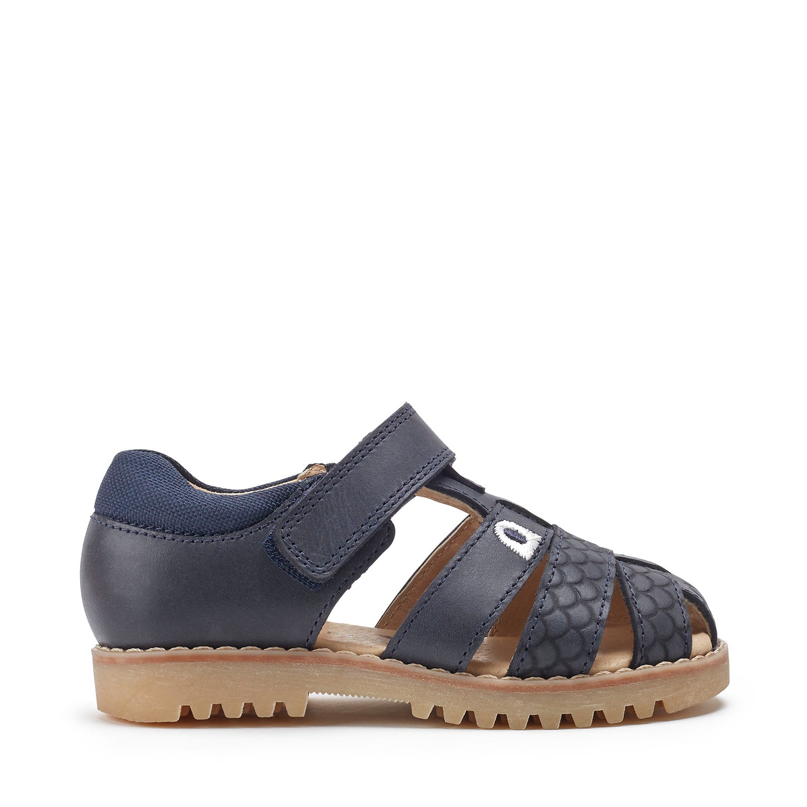 Startrite Dino Park Sandals 5207 Navy F Fit Footwear UK5.5 INFANT / Navy,UK6 INFANT / Navy,UK7 INFANT / Navy,UK7.5 INFANT / Navy